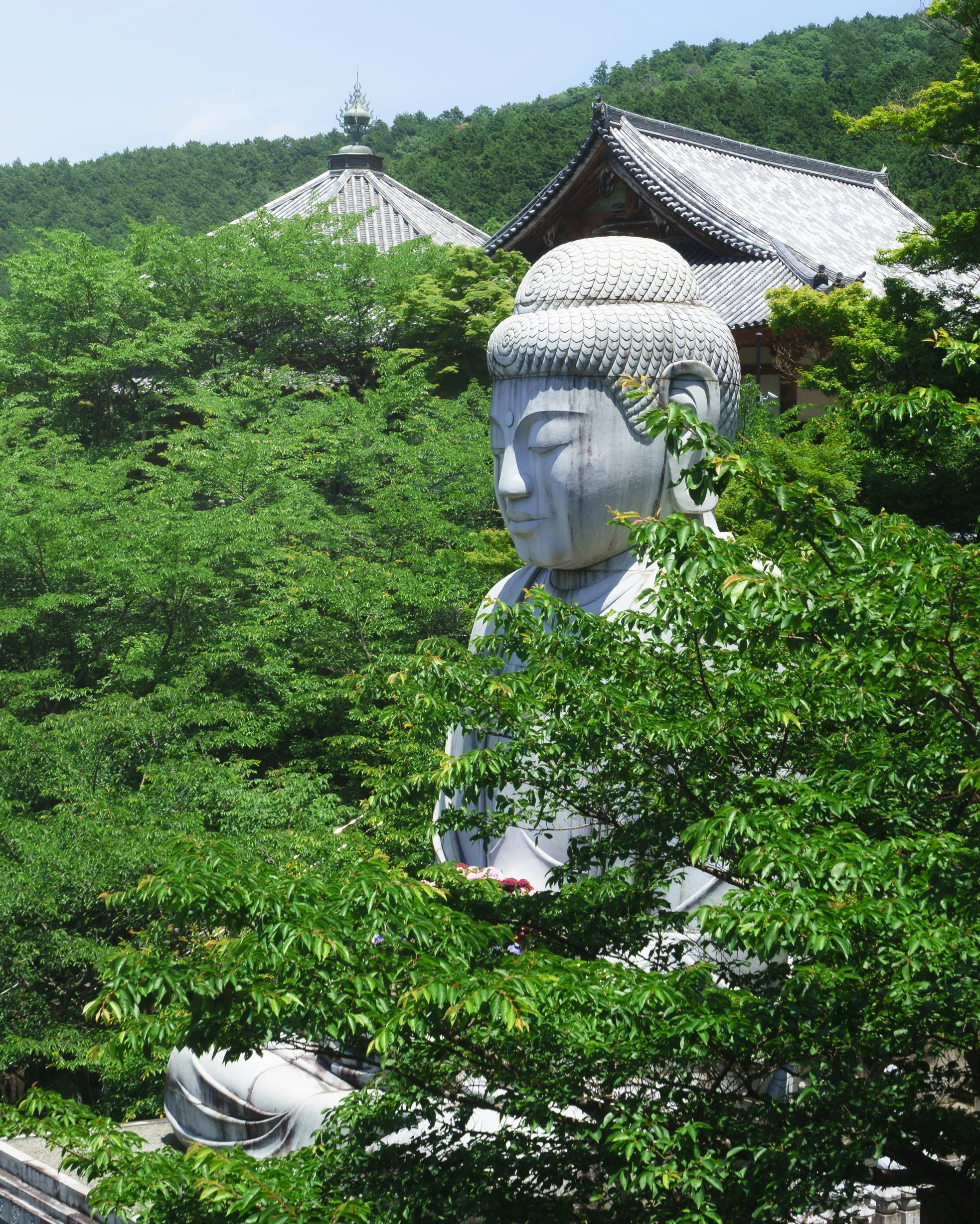grand Bouddha entouré d’une végétation luxuriante