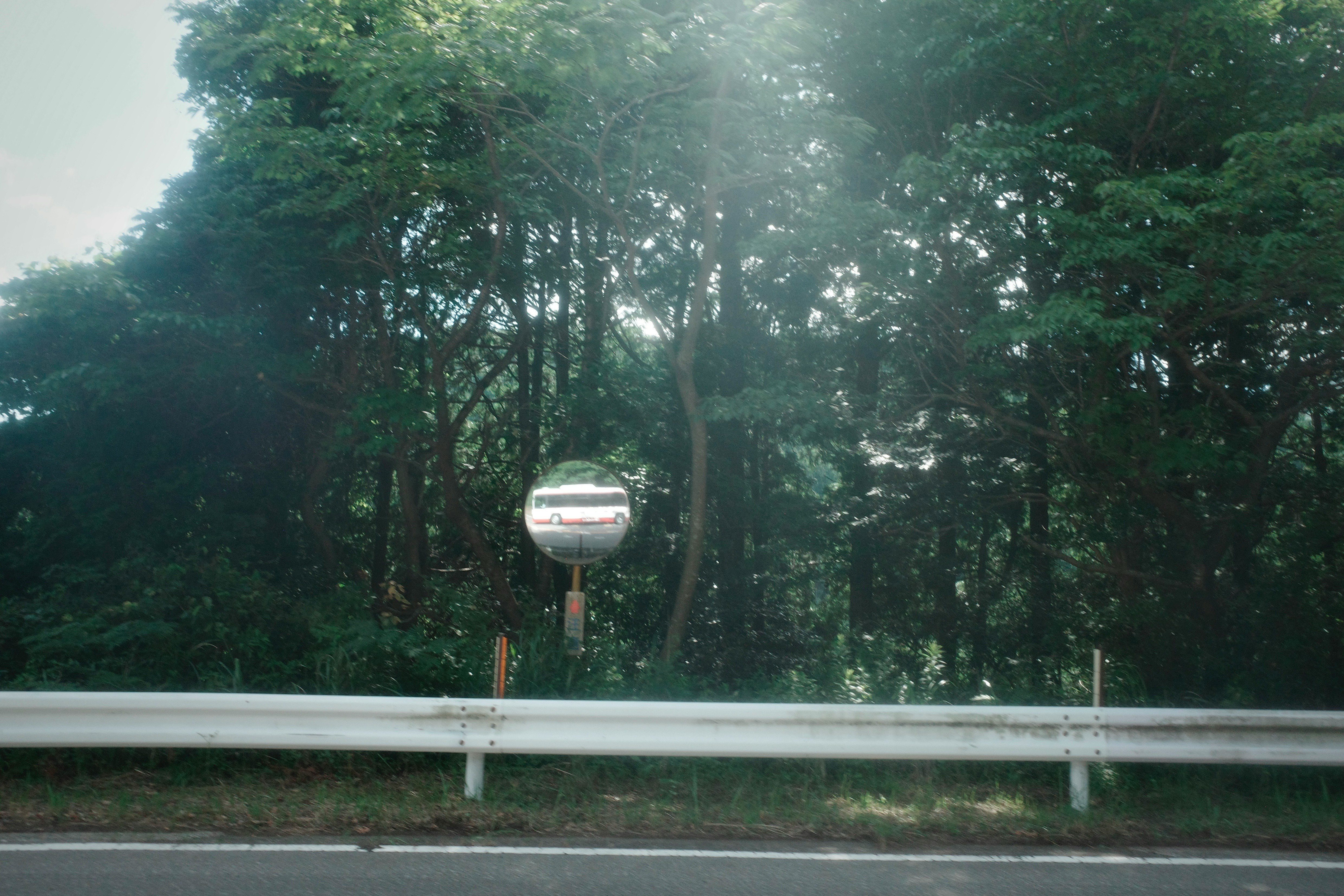 roadside sign in a forest landscape