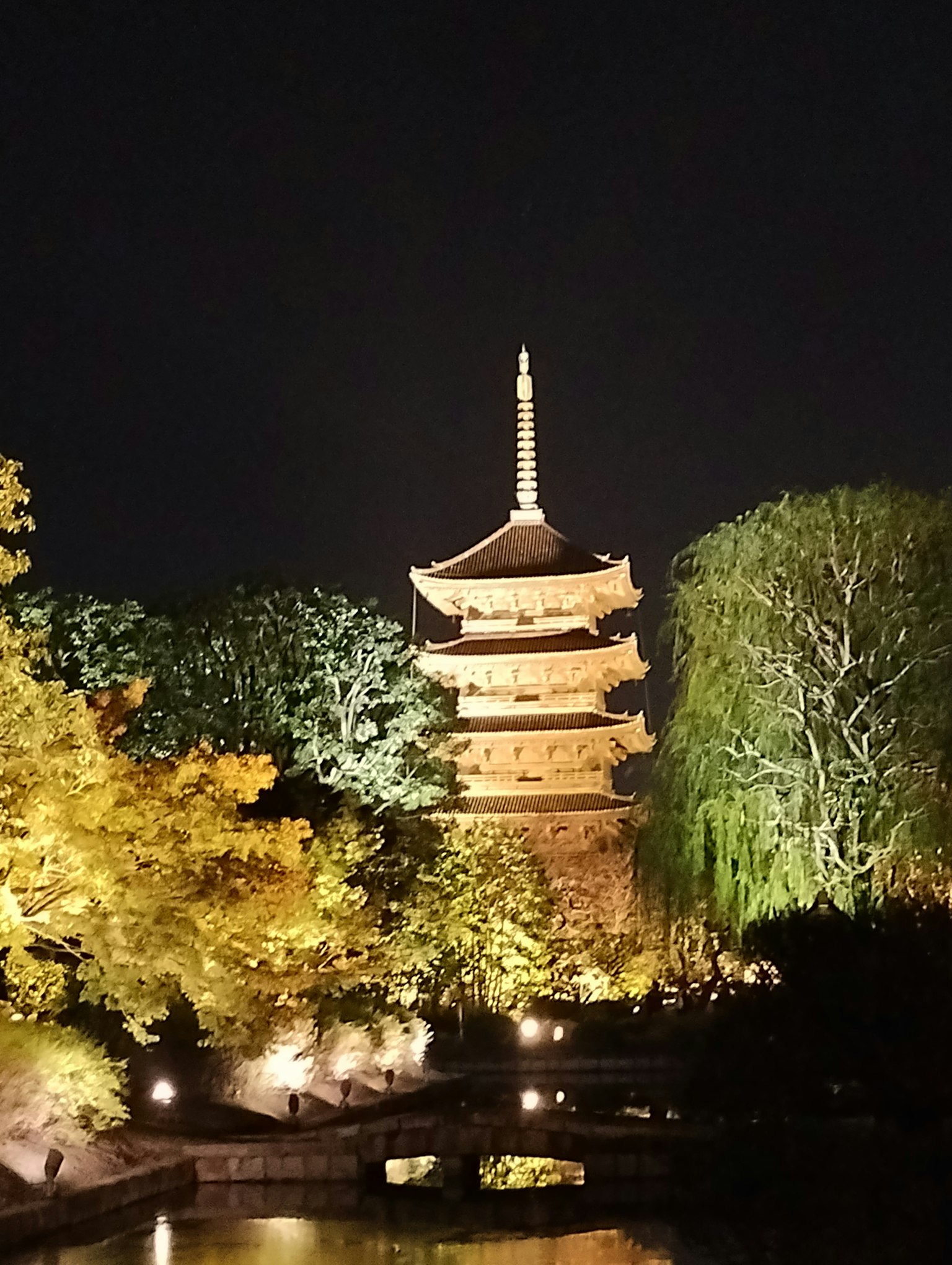 Schöne Pagode bei Nacht beleuchtet umgeben von grünen Bäumen