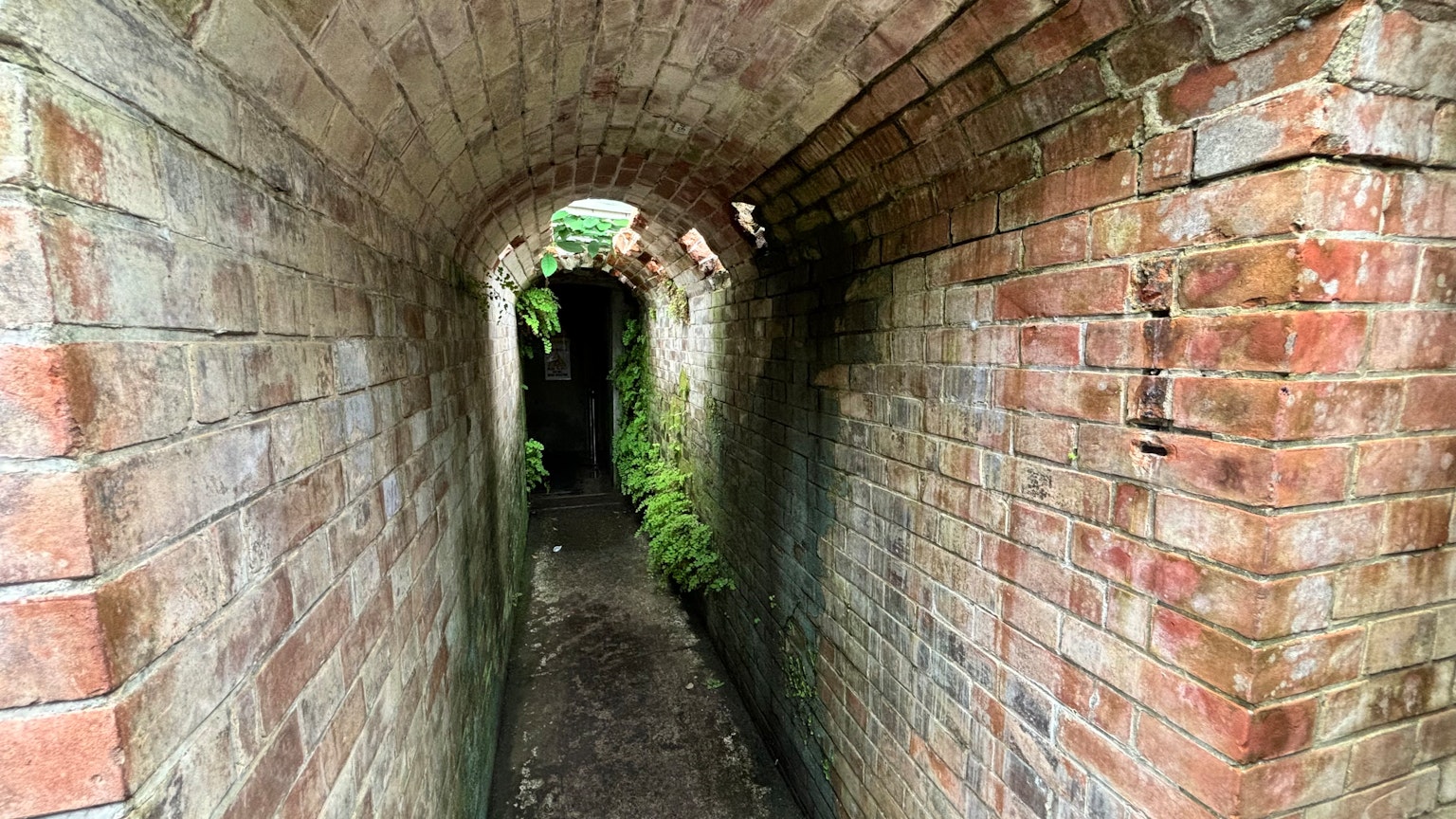 Vista interior de un viejo túnel de ladrillo con vegetación