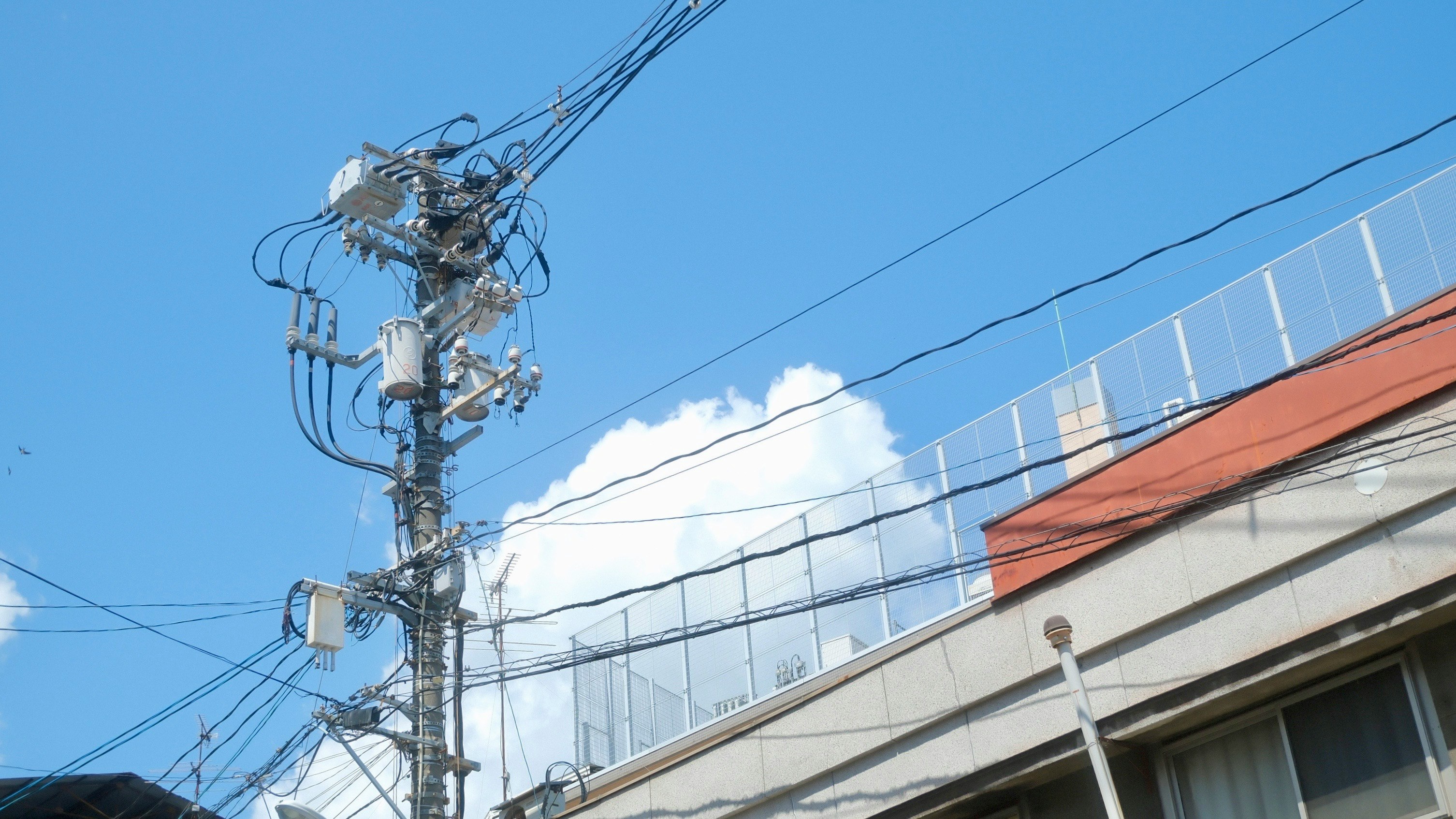 青空の下、電柱と電線が走る学校の建物の外観