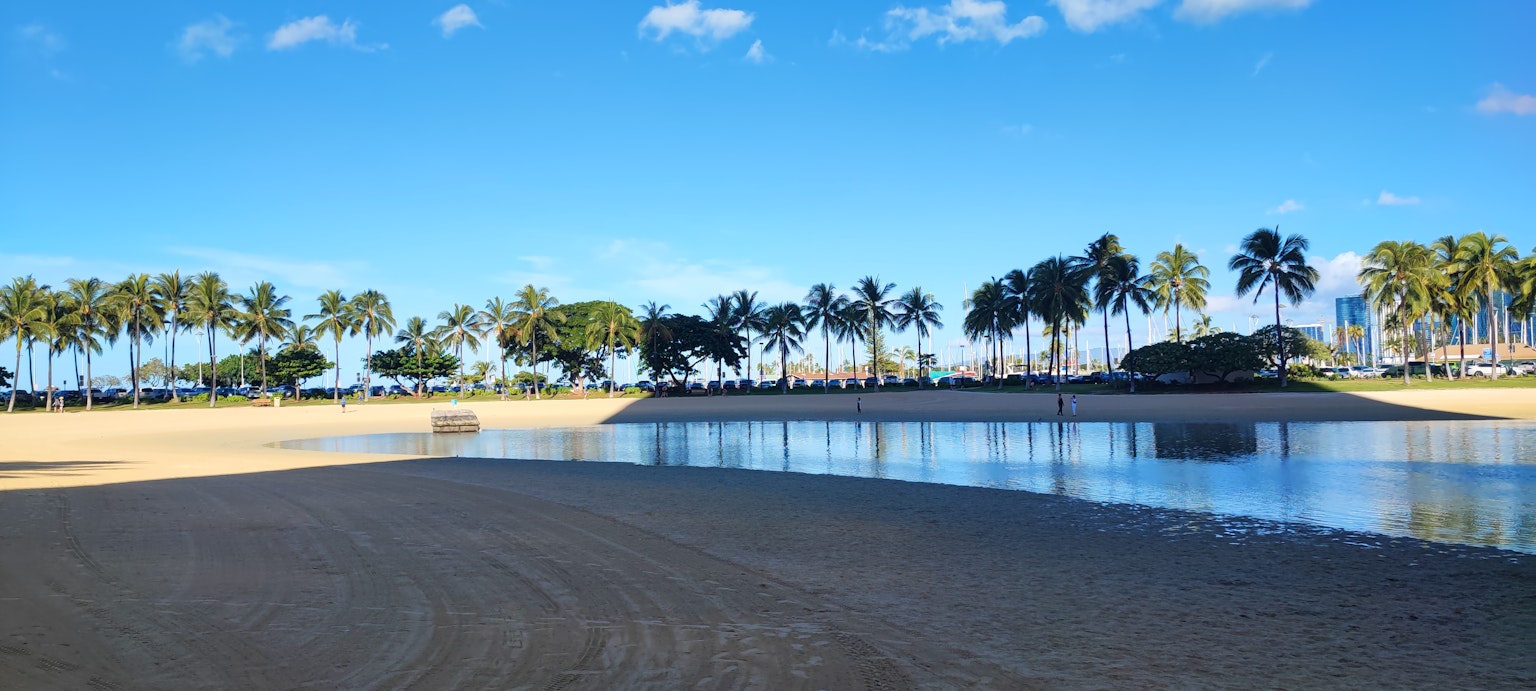 Beach view with palm trees and blue sky
