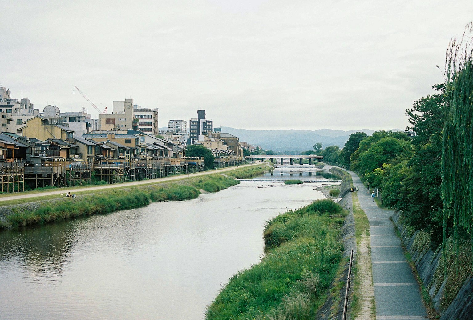 Vista de un río en Kioto con hierba verde y edificios