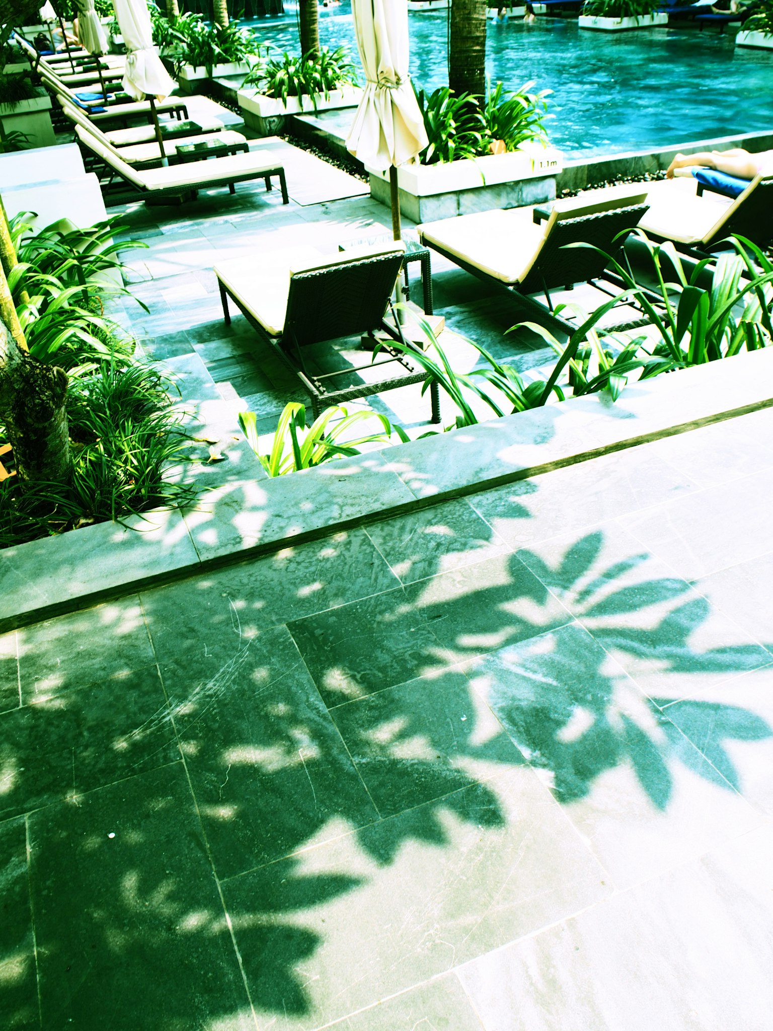 Lounge chairs by the pool with green plants casting shadows in a relaxing atmosphere