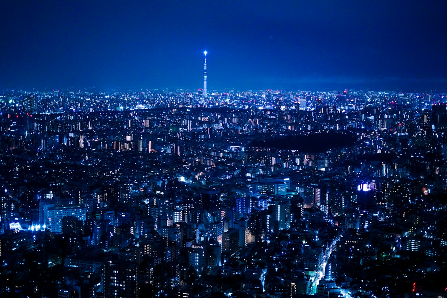Impresionante vista nocturna de Tokio con la Tokyo Skytree iluminada