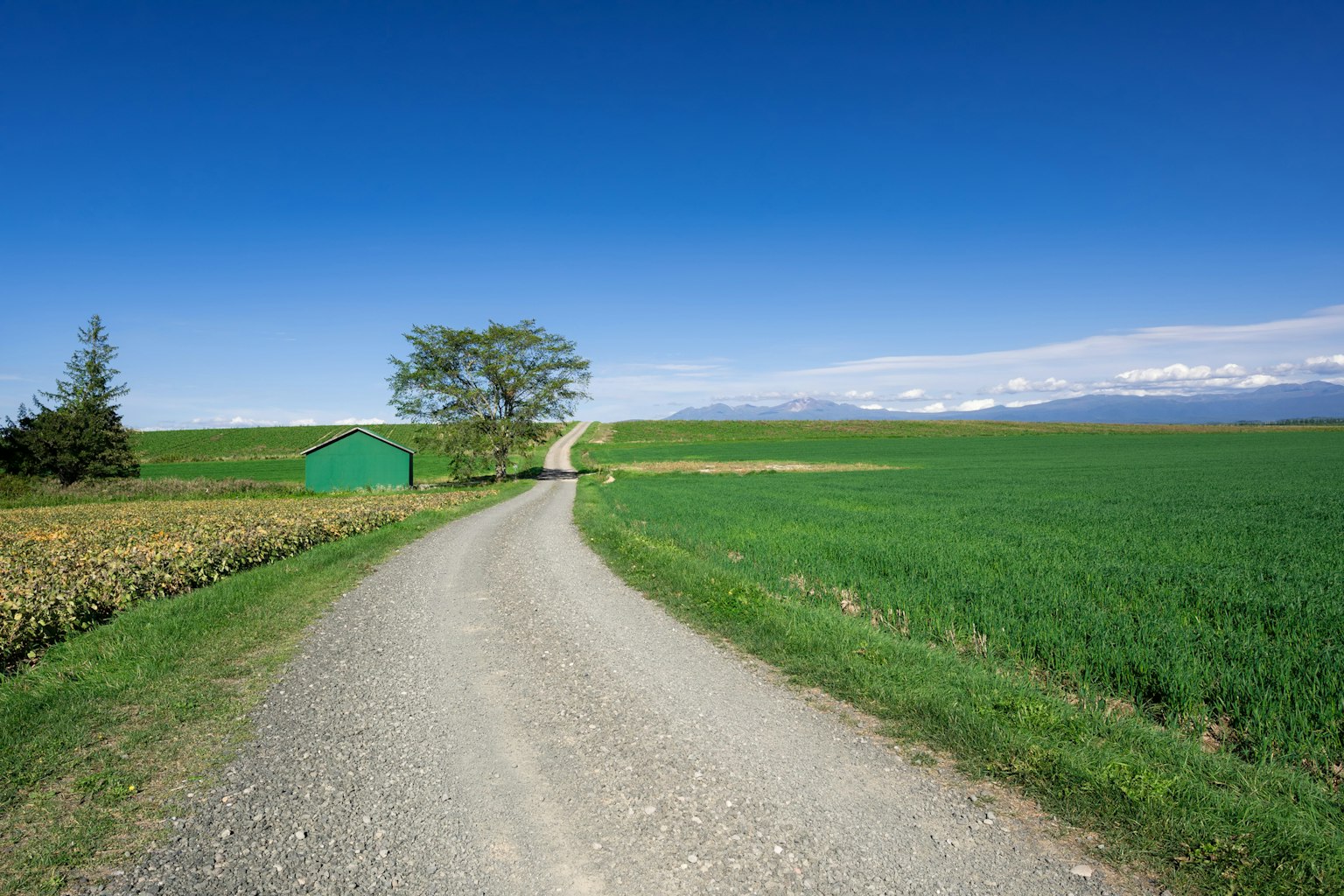 Vista panoramica di una strada sterrata tortuosa con campi verdi e cielo blu