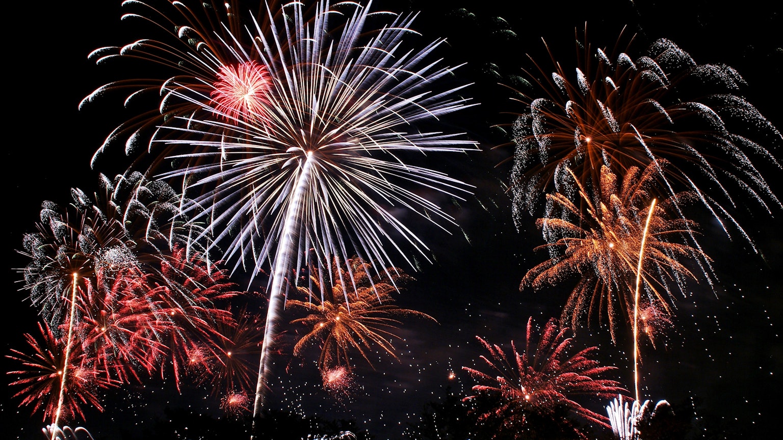 Colorful fireworks display in the night sky