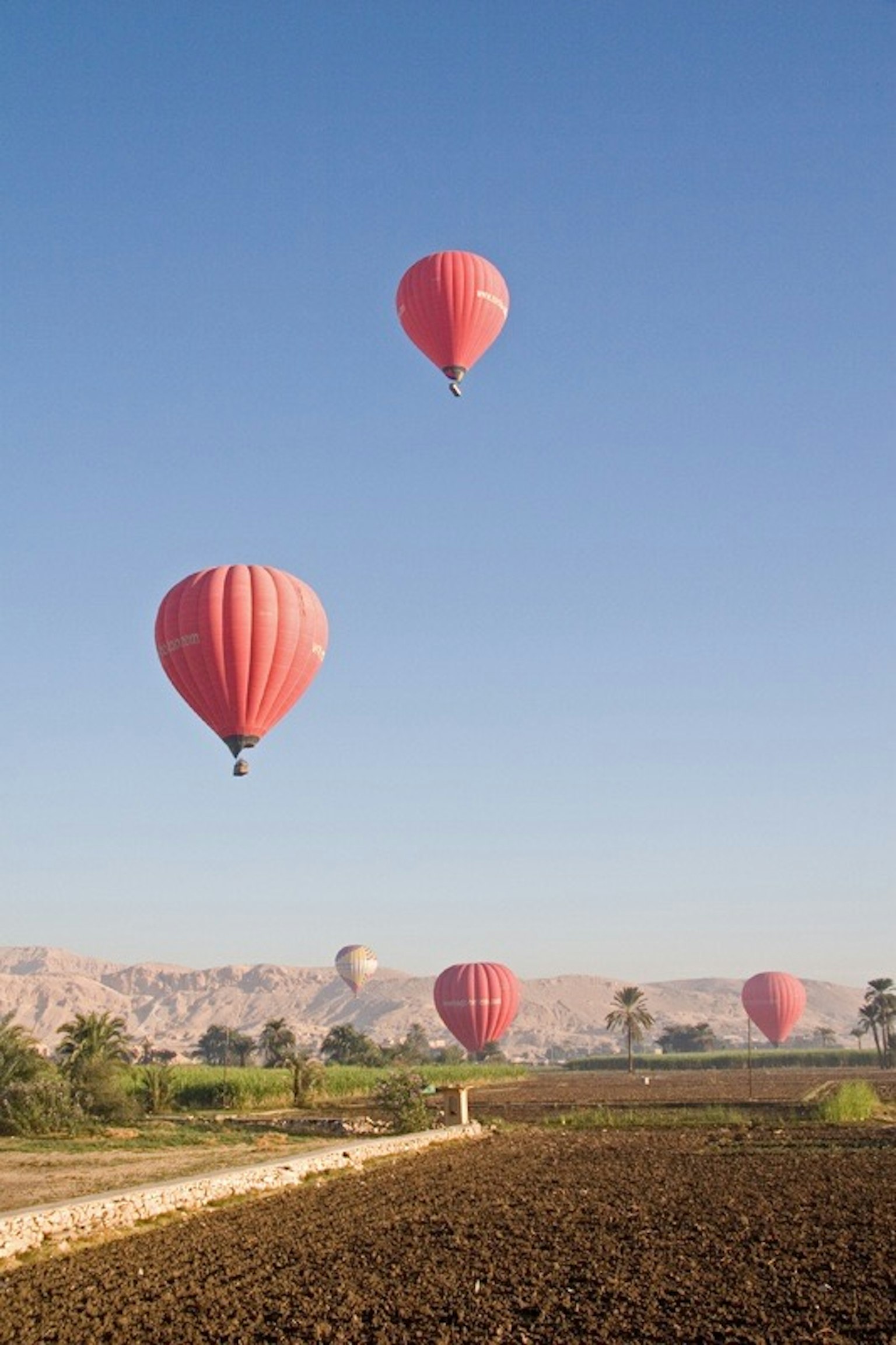 Rote Heißluftballons, die in einem klaren blauen Himmel über einer Landschaft schweben