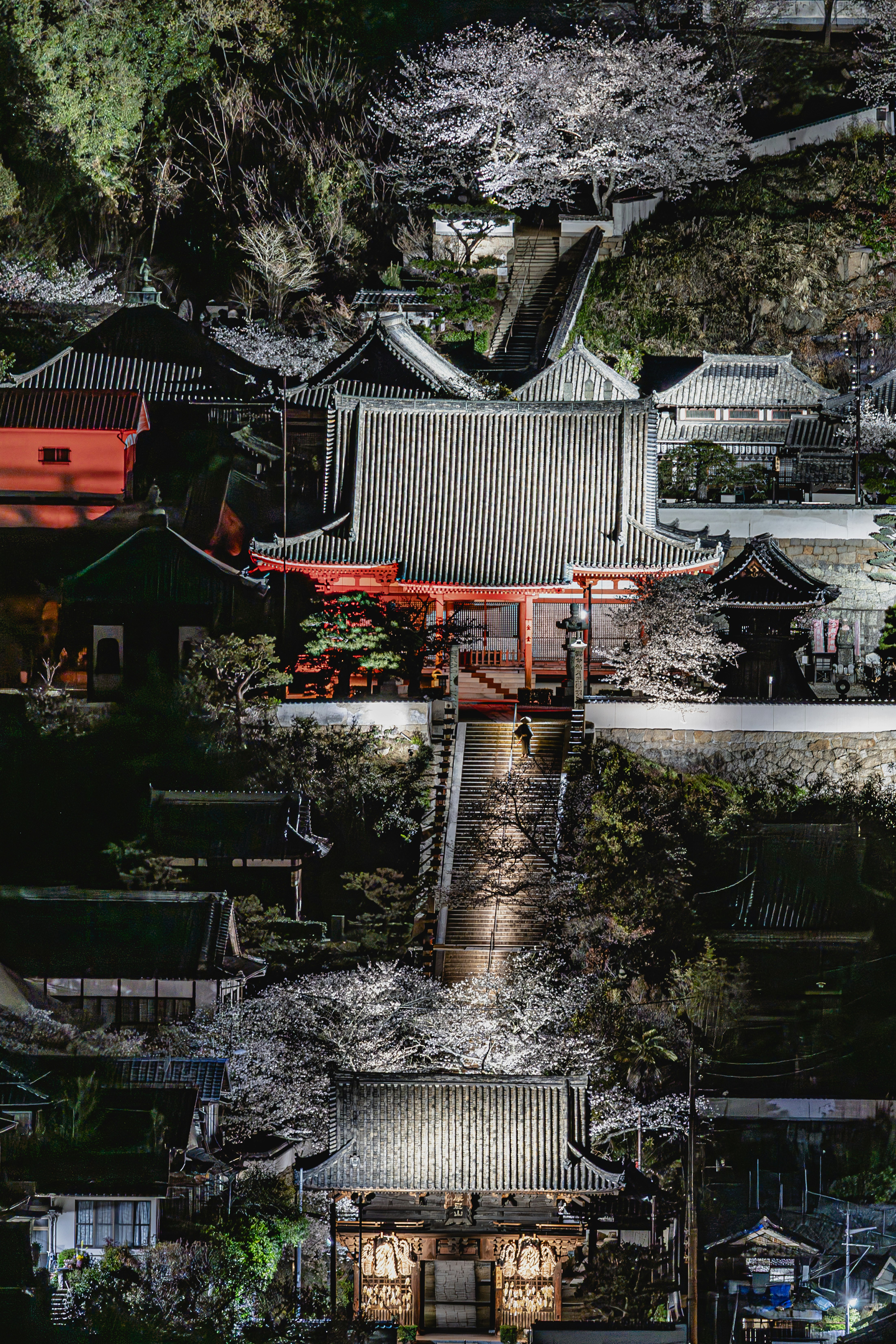 桜の咲く寺院の石段と屋根のある風景