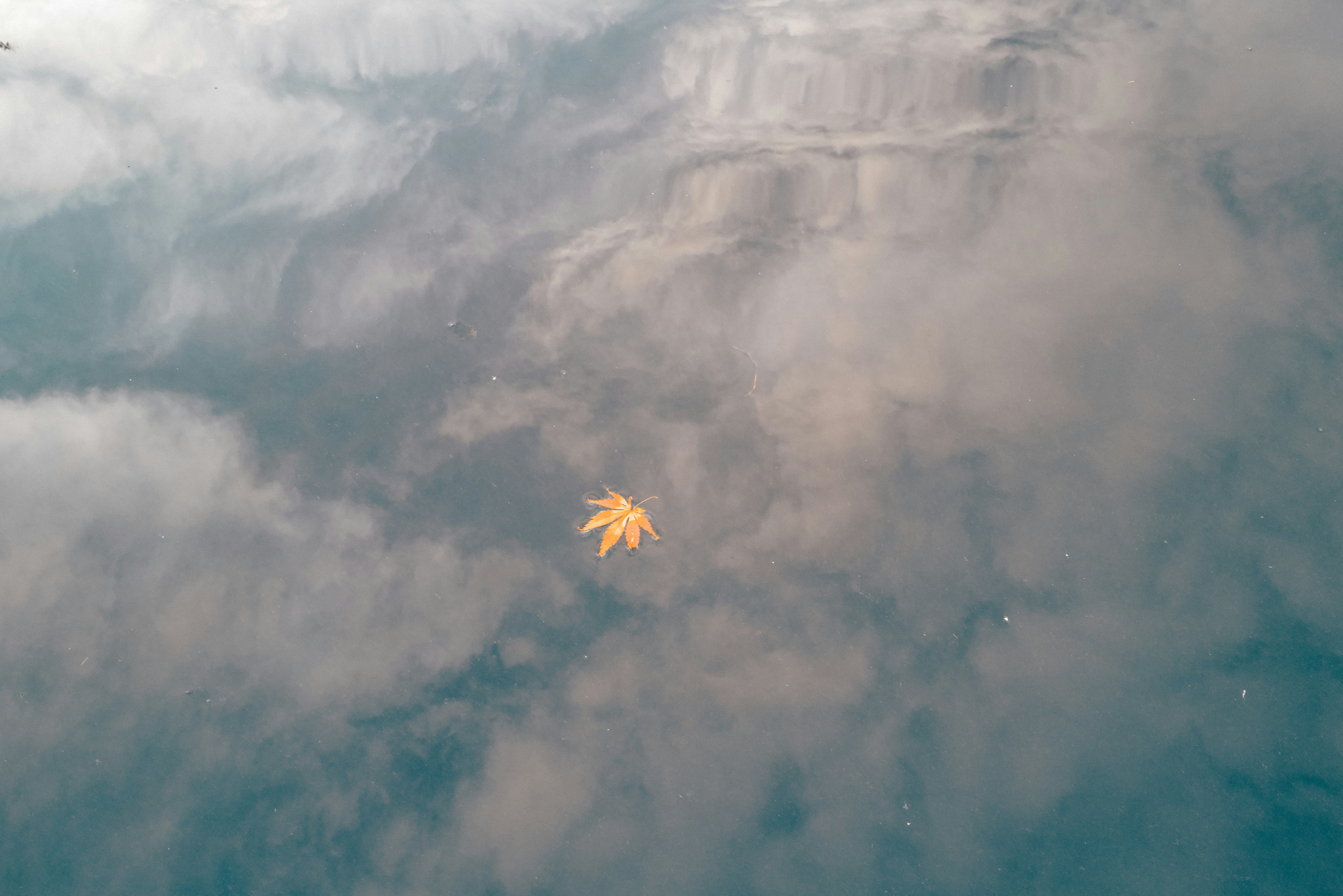 雲の間を漂う一枚の落ち葉
