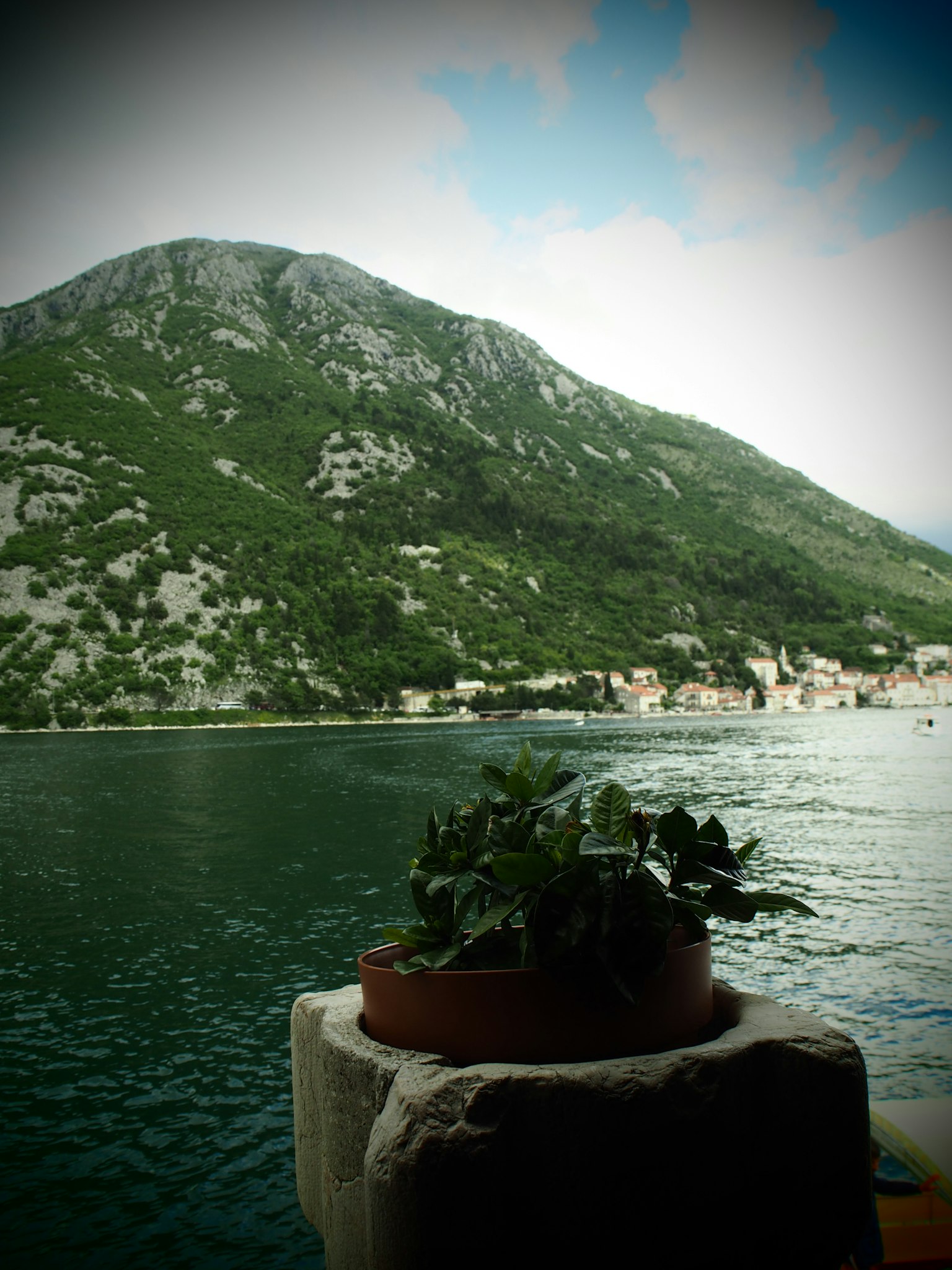 Pianta in vaso in primo piano con vista sulla montagna e il lago