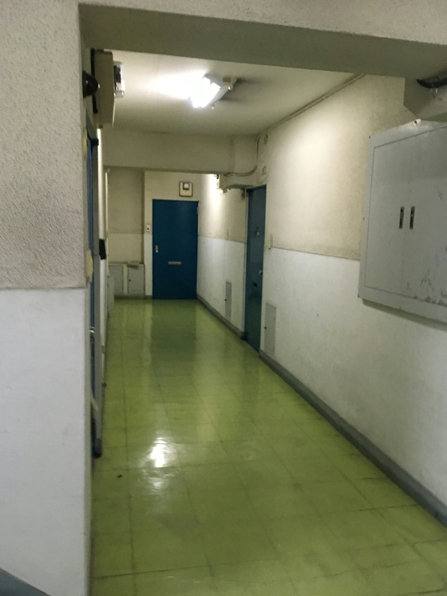 長走廊配有綠色地板牆上可見藍色門簡單的白色牆壁和天花板
