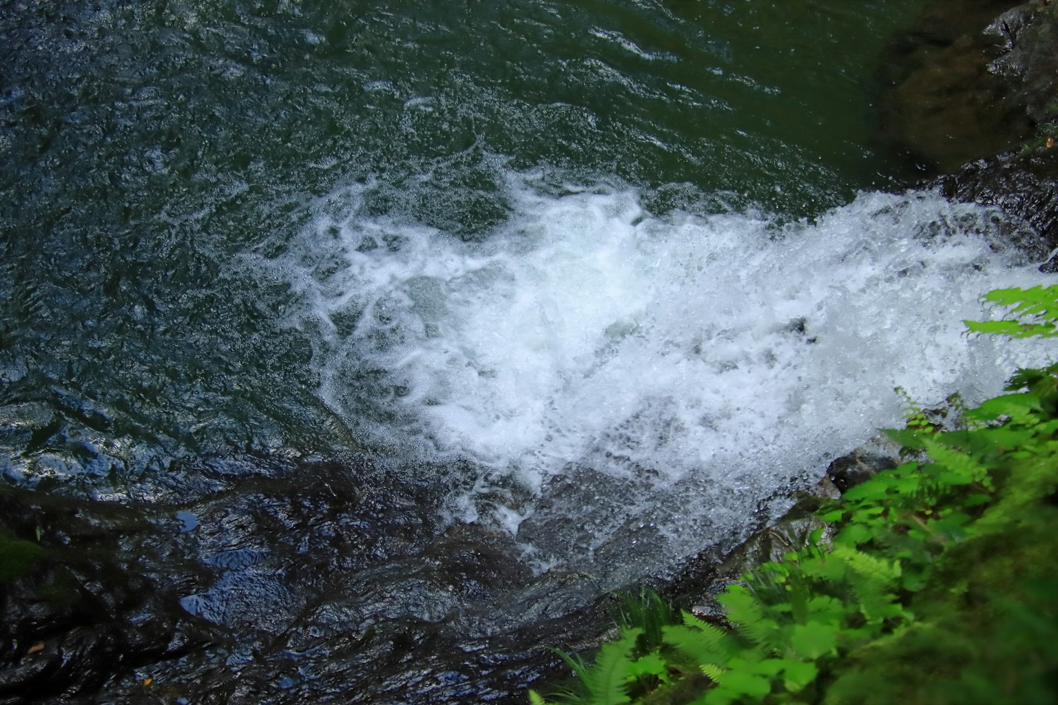 Nahaufnahme eines Wasserfalls mit fließendem Wasser und grünem Laub