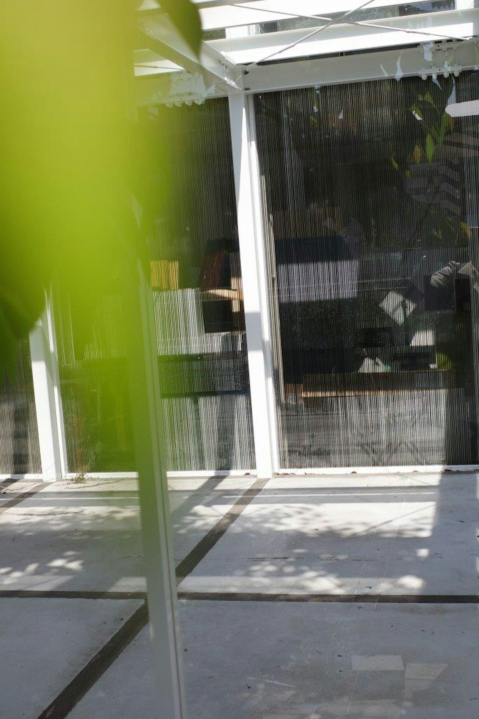 Ventanas de vidrio con marcos blancos y hojas verdes en un espacio sereno