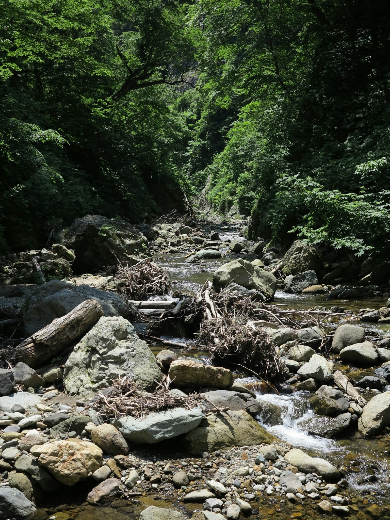 Un arroyo sereno que fluye a través de un valle verde con rocas
