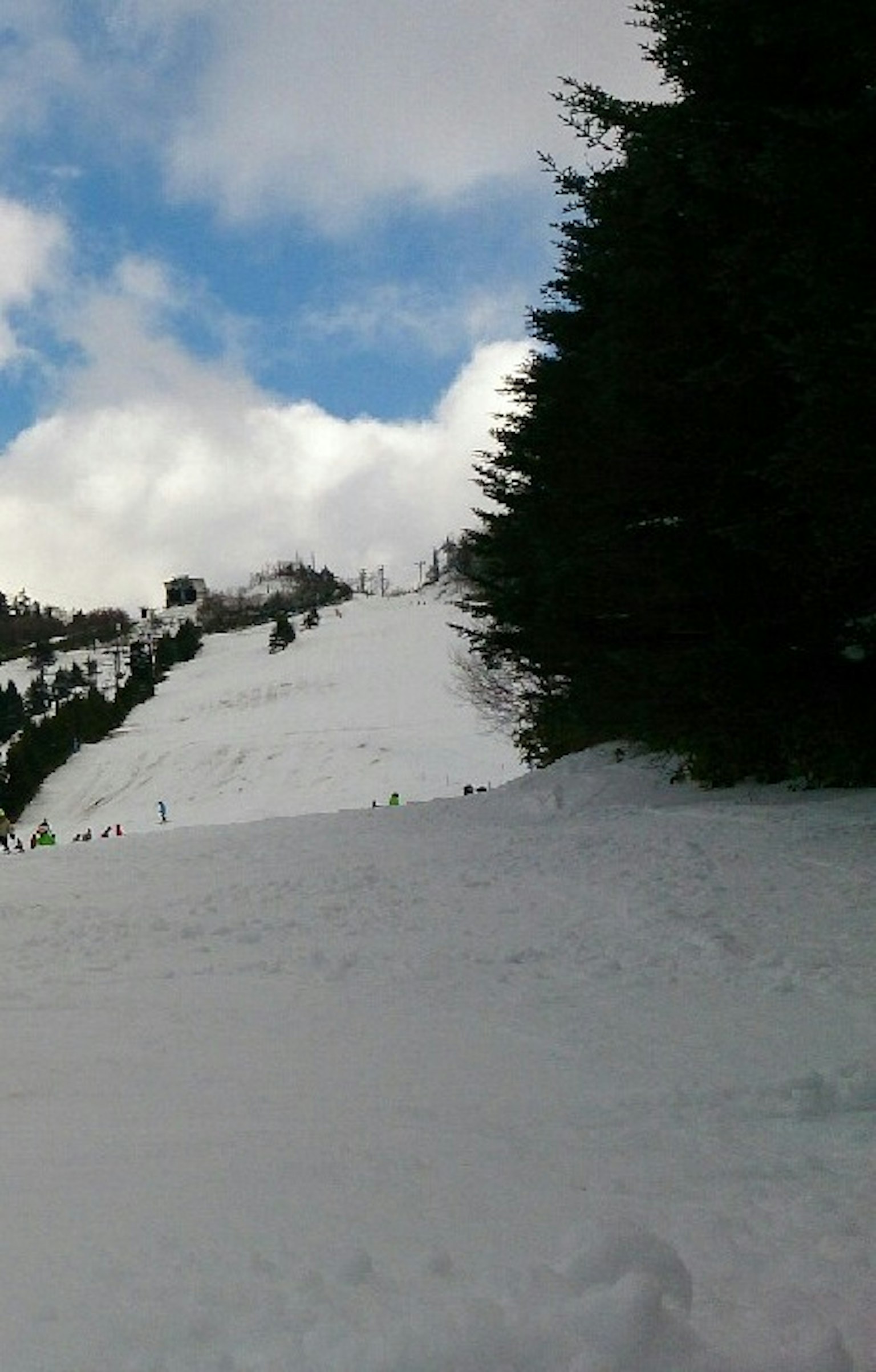 Snow-covered landscape with contrasting blue sky