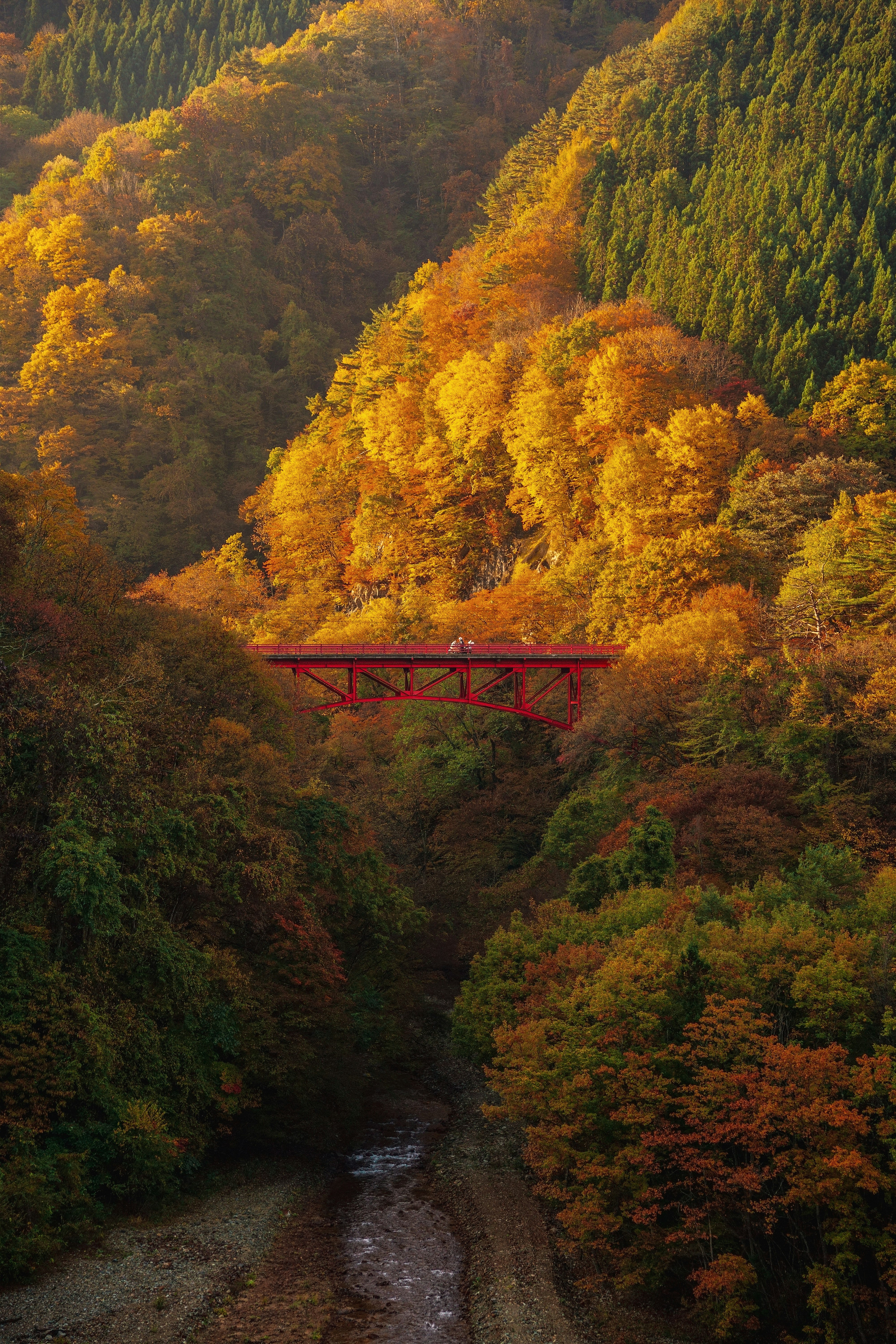 紅葉の渓谷を渡る赤い鉄橋のある風景