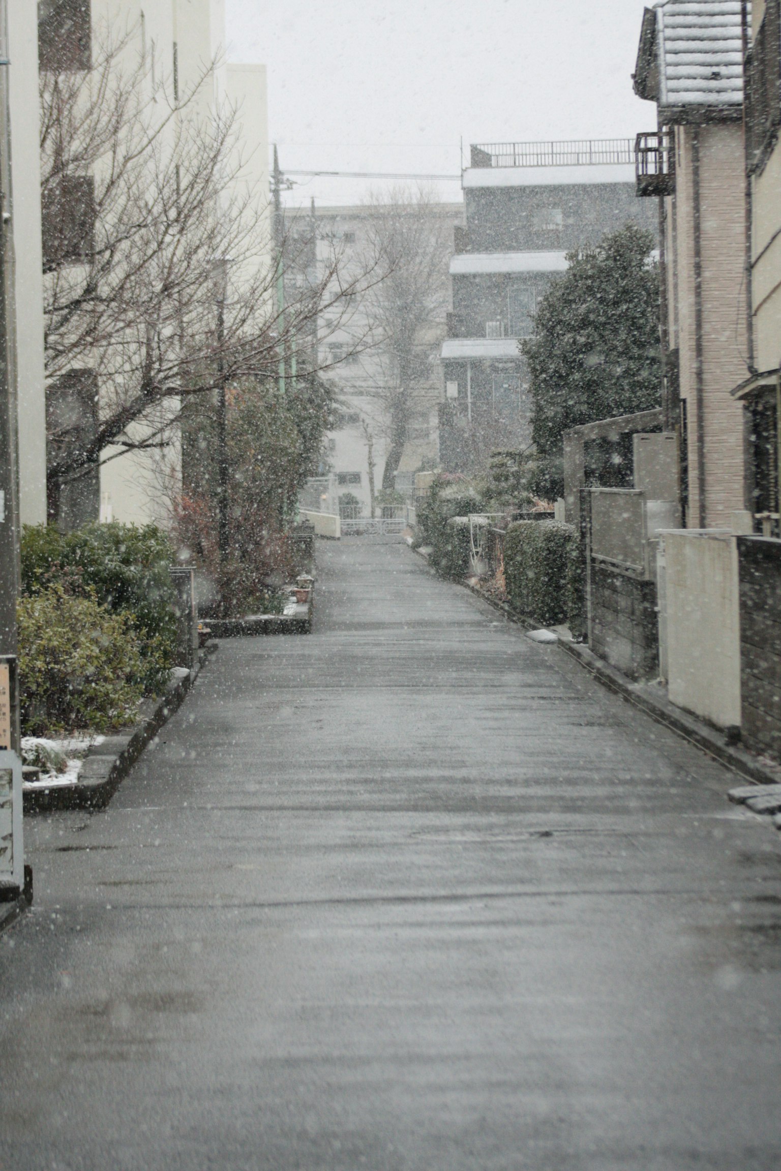 Ruhige Straßenszene mit fallendem Schnee und Bäumen und Gebäuden