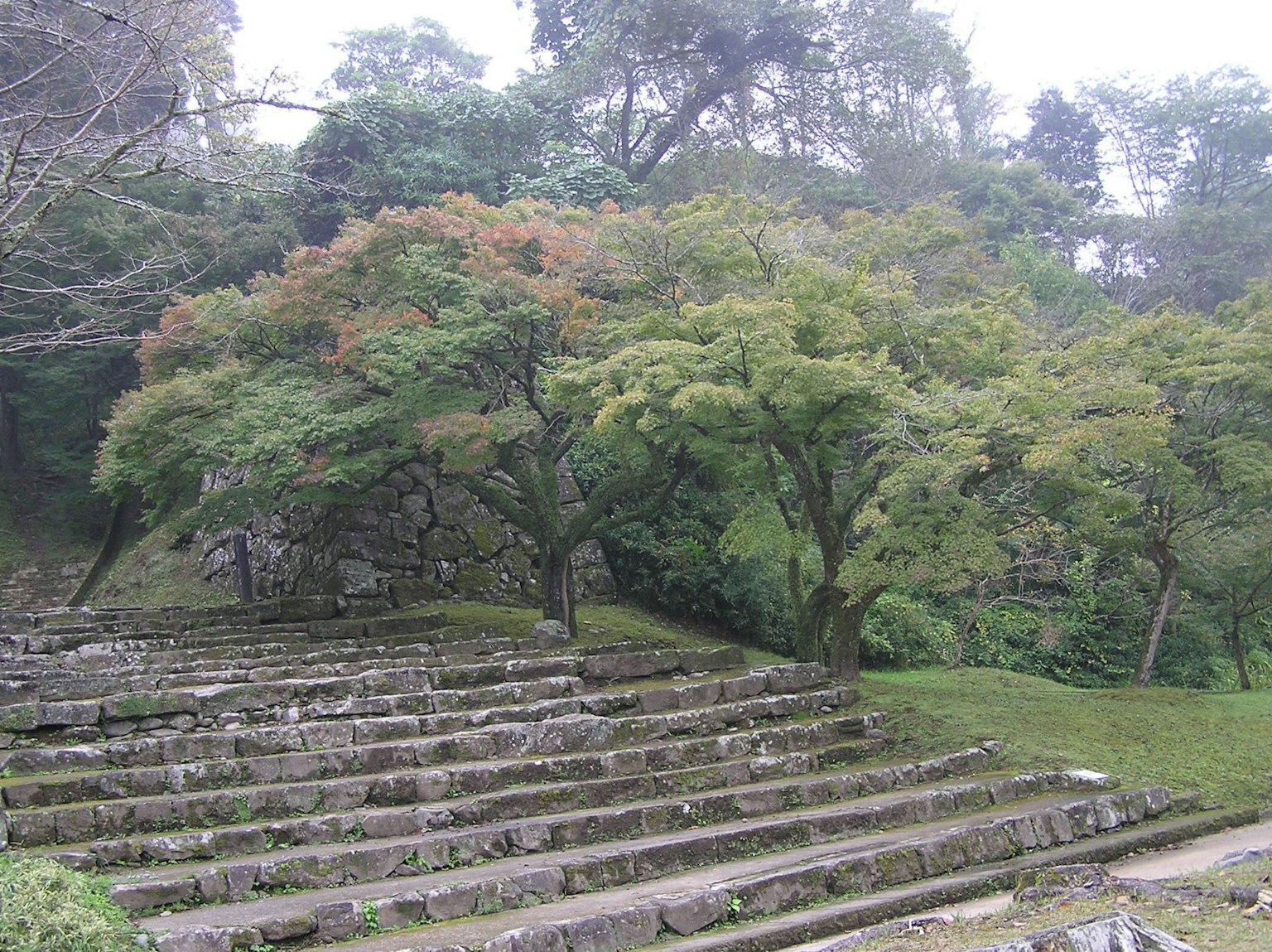 石階花園與郁郁蔥蔥的樹木