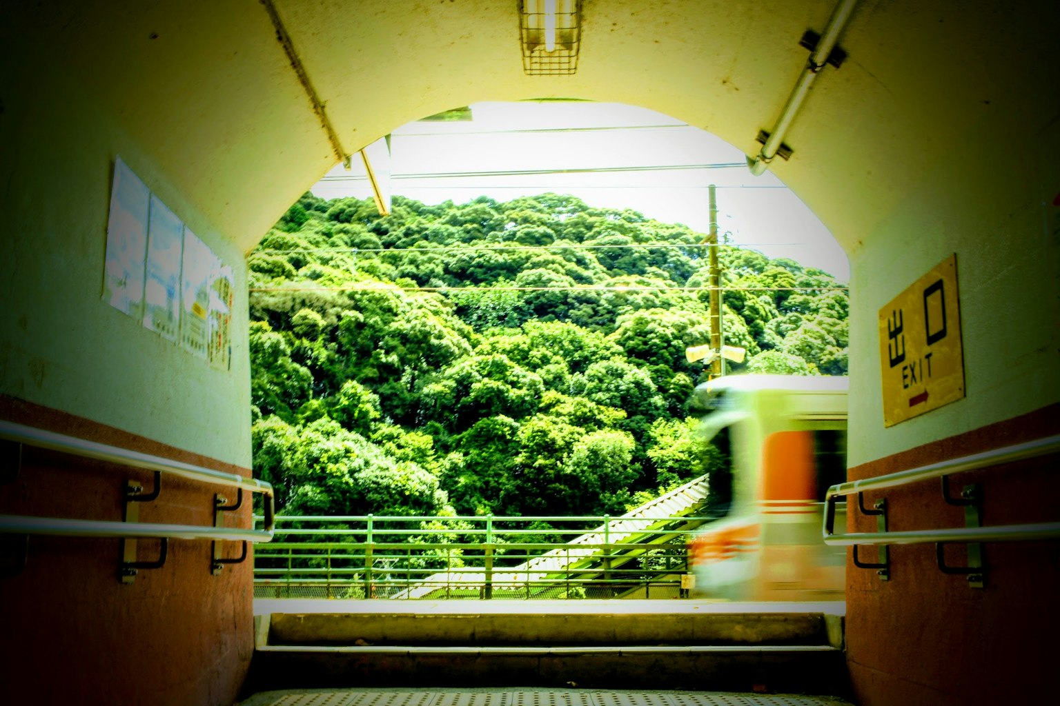 View of lush greenery through a tunnel exit with a passing train