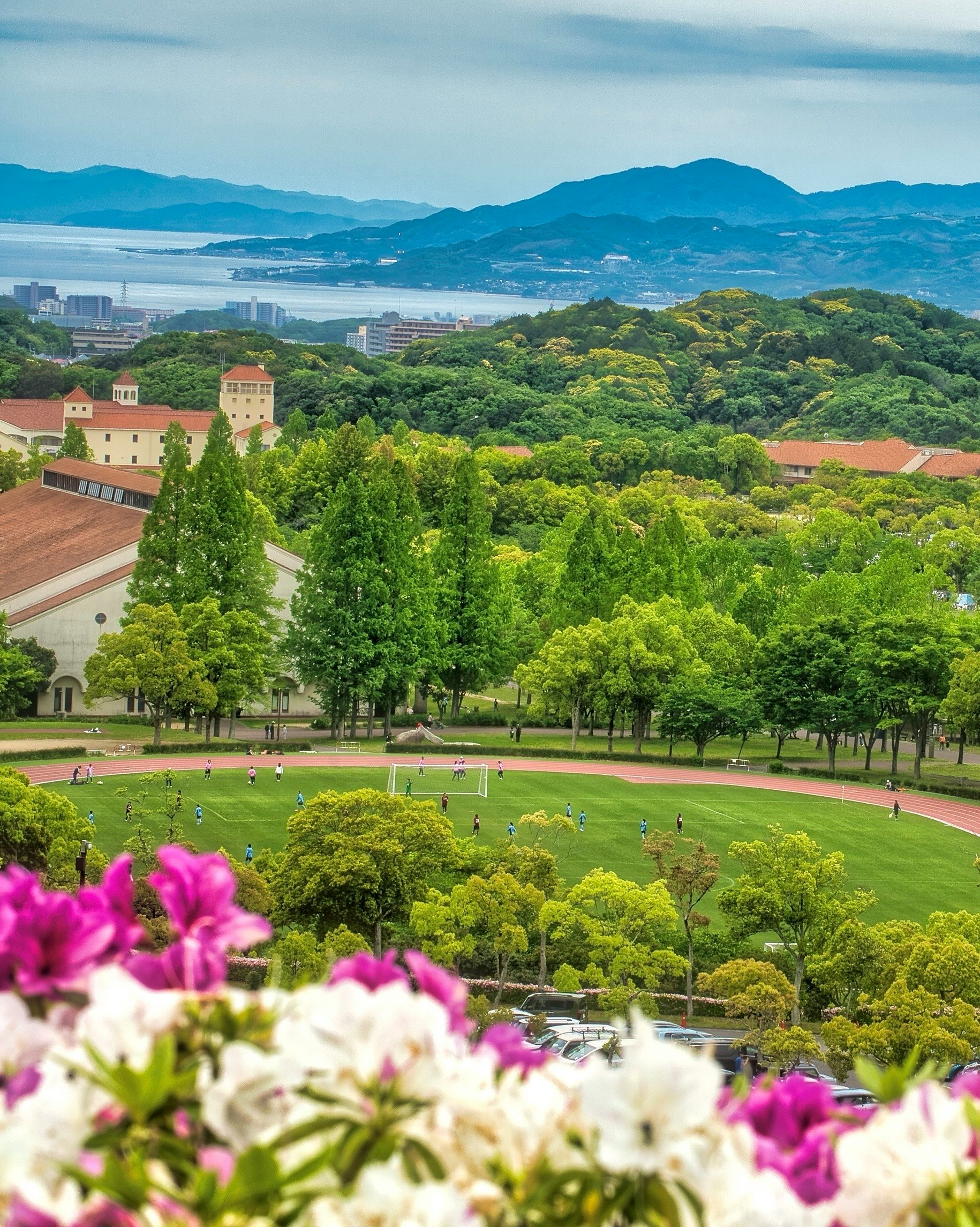 新緑の庭園と芝生の広場を見下ろす景色
