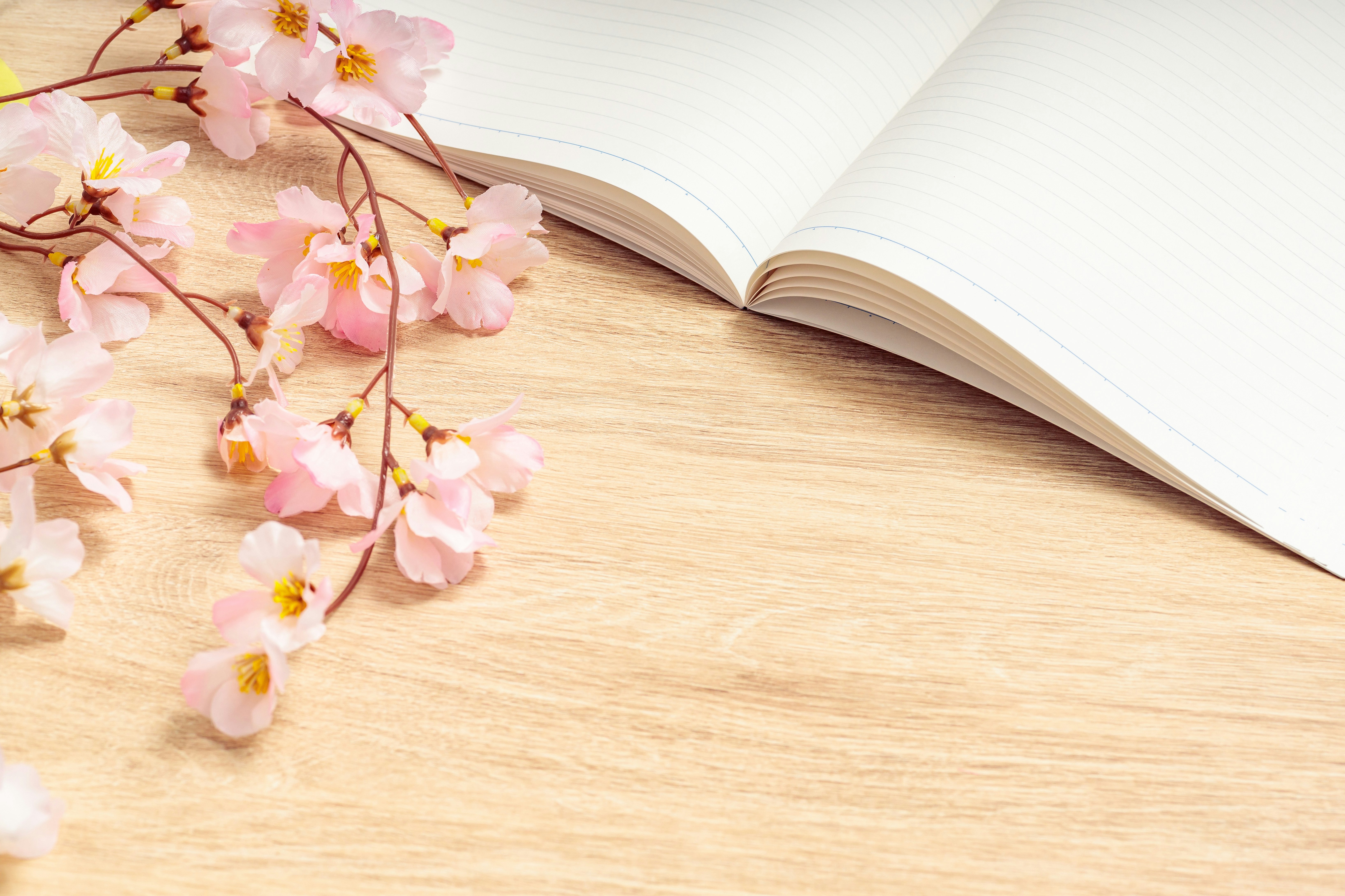桜の花びらと枝が添えられた開いたノートの春の学習イメージ