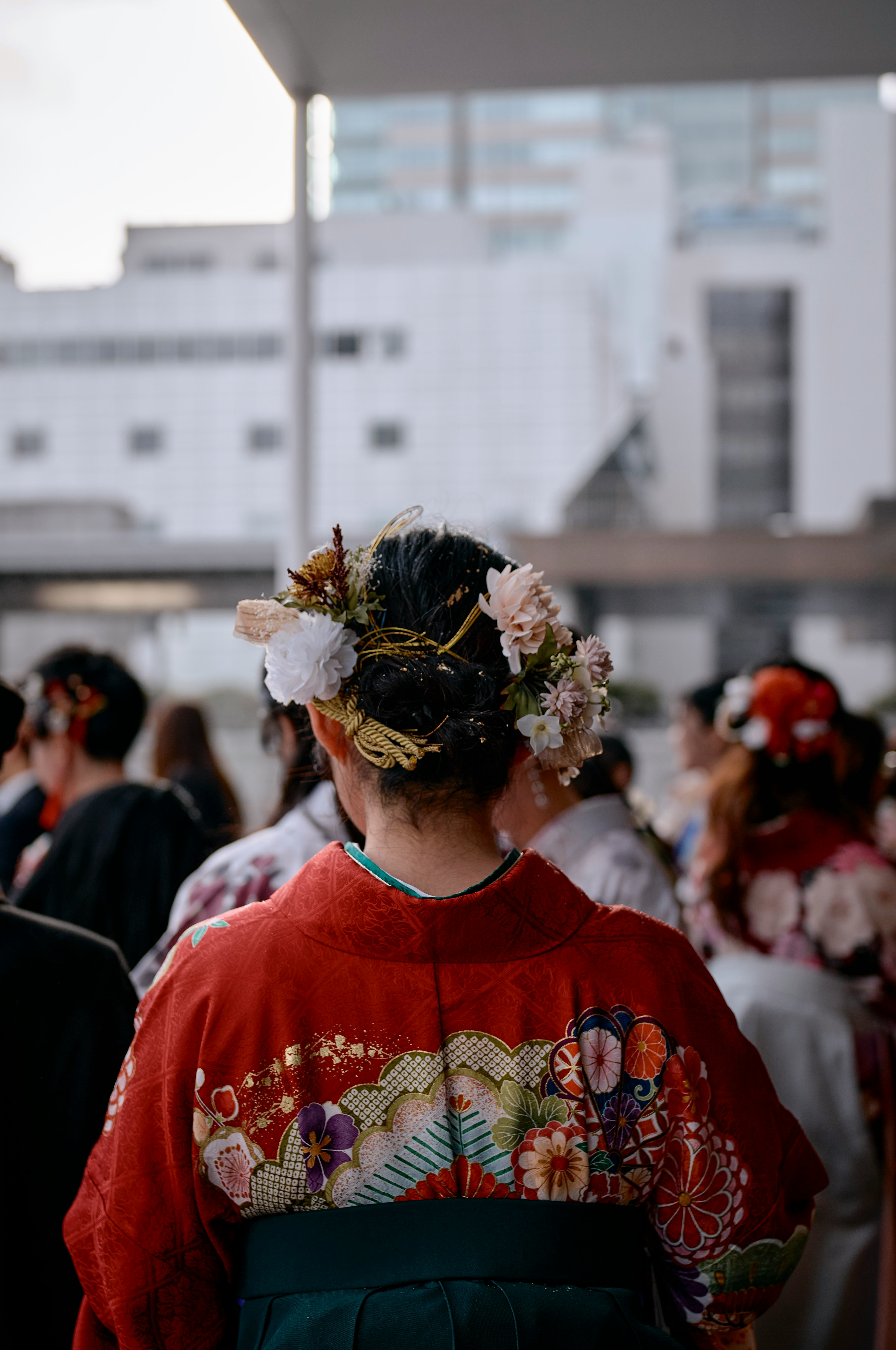 Cảnh nhìn từ phía sau người tham dự lễ tốt nghiệp mặc kimono, tóc có phụ kiện hoa