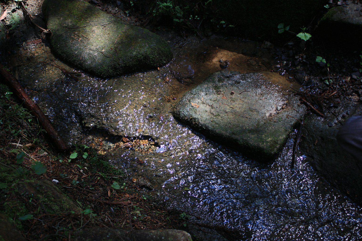 Grandi sassi in un ruscello con superficie d'acqua luccicante