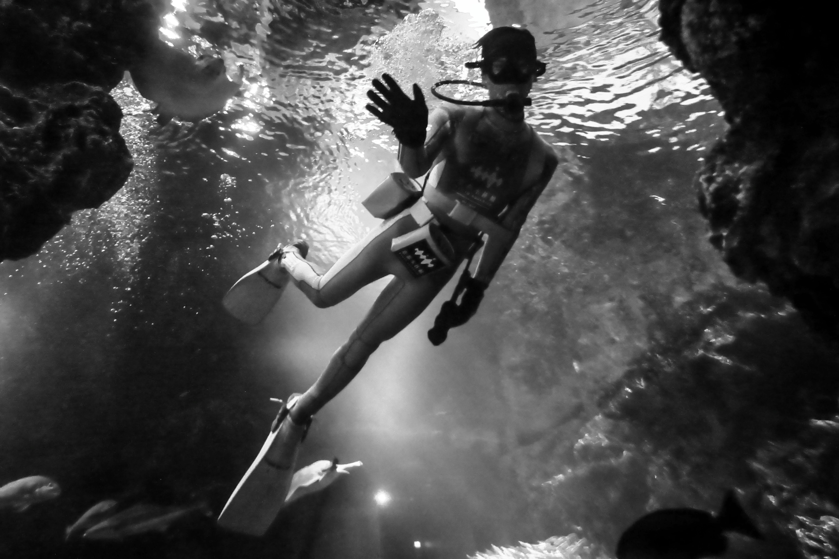 モノクロで水中を泳ぐダイバーのシルエット（京都水族館）