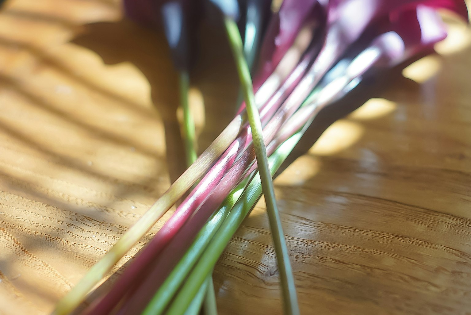 Stiele von lila und grünen Blumen auf einem Holztisch mit Lichtschatten