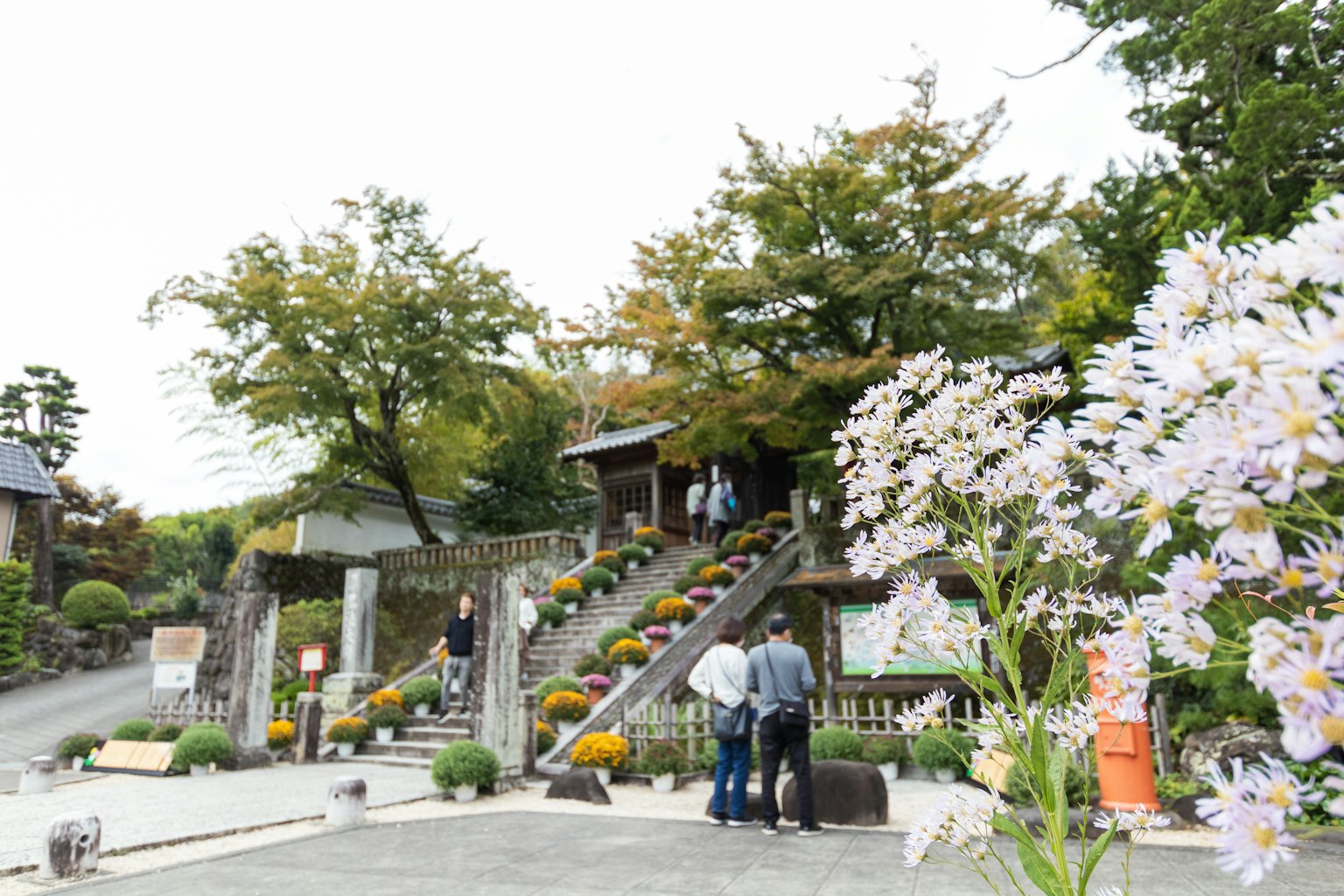 Des gens se rassemblent dans une zone pittoresque avec des escaliers ornés de fleurs et des arbres