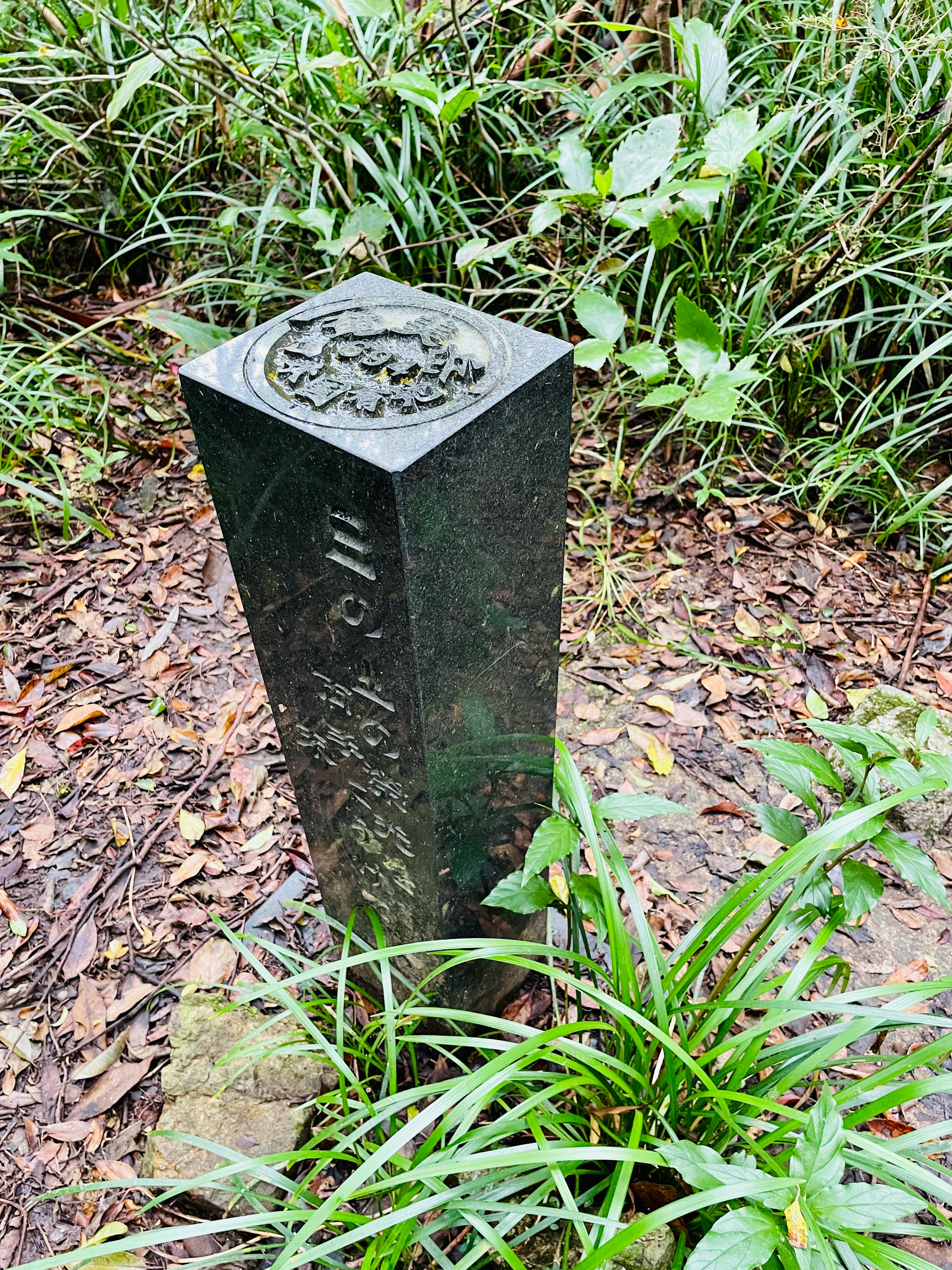 草叢中的石碑紀念碑