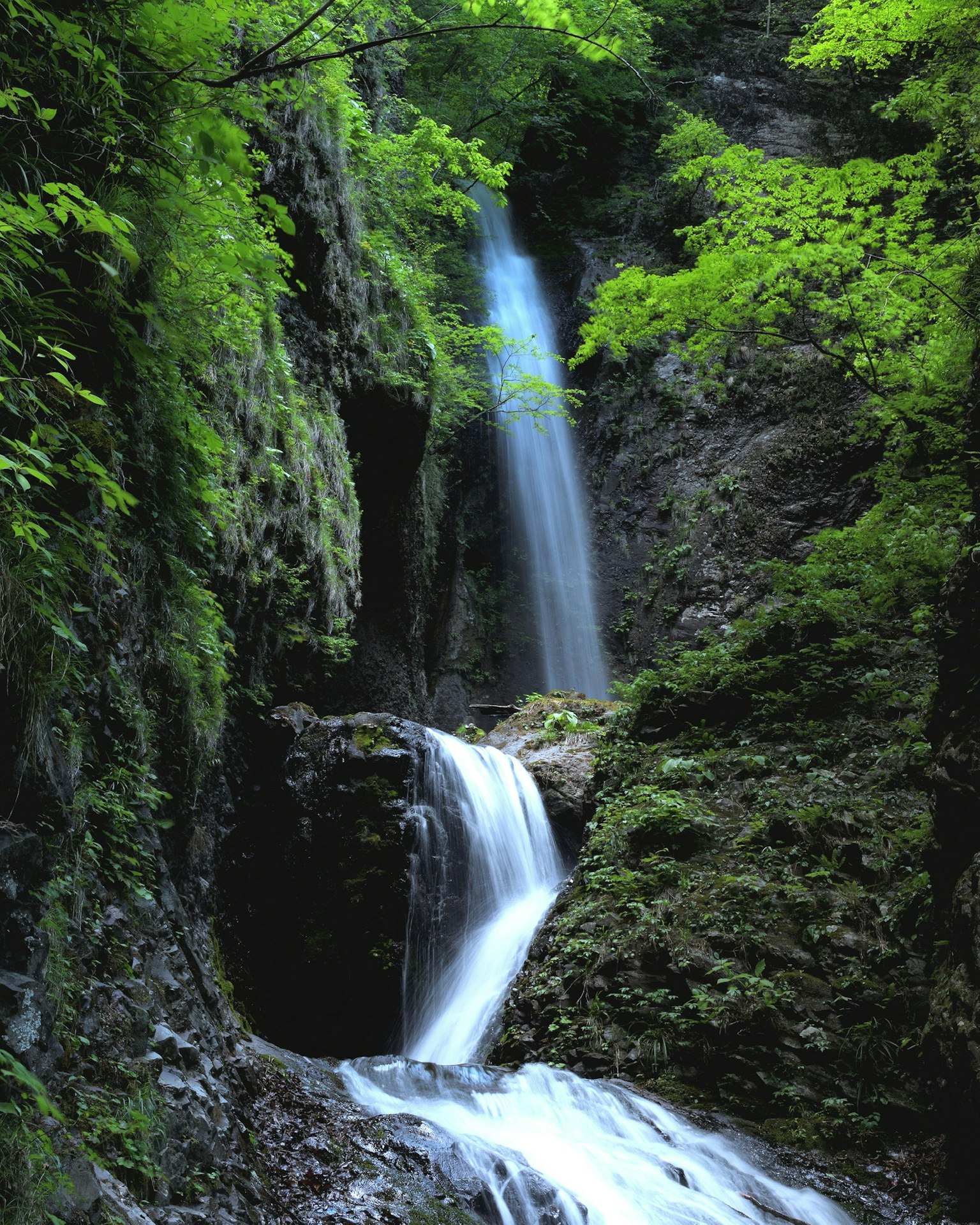 Schöner Wasserfall umgeben von grünen Blättern und felsiger Landschaft