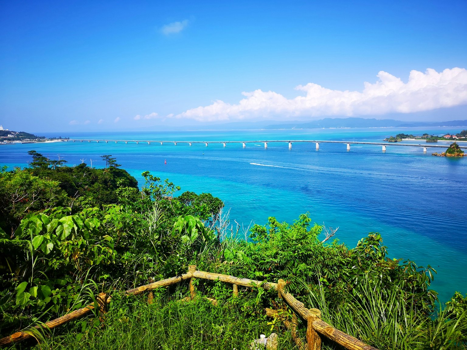 ทิวทัศน์สวยงามของทะเลและท้องฟ้าสีฟ้า มีสะพานมองเห็นได้ล้อมรอบด้วยพืชพรรณเขียวขจี