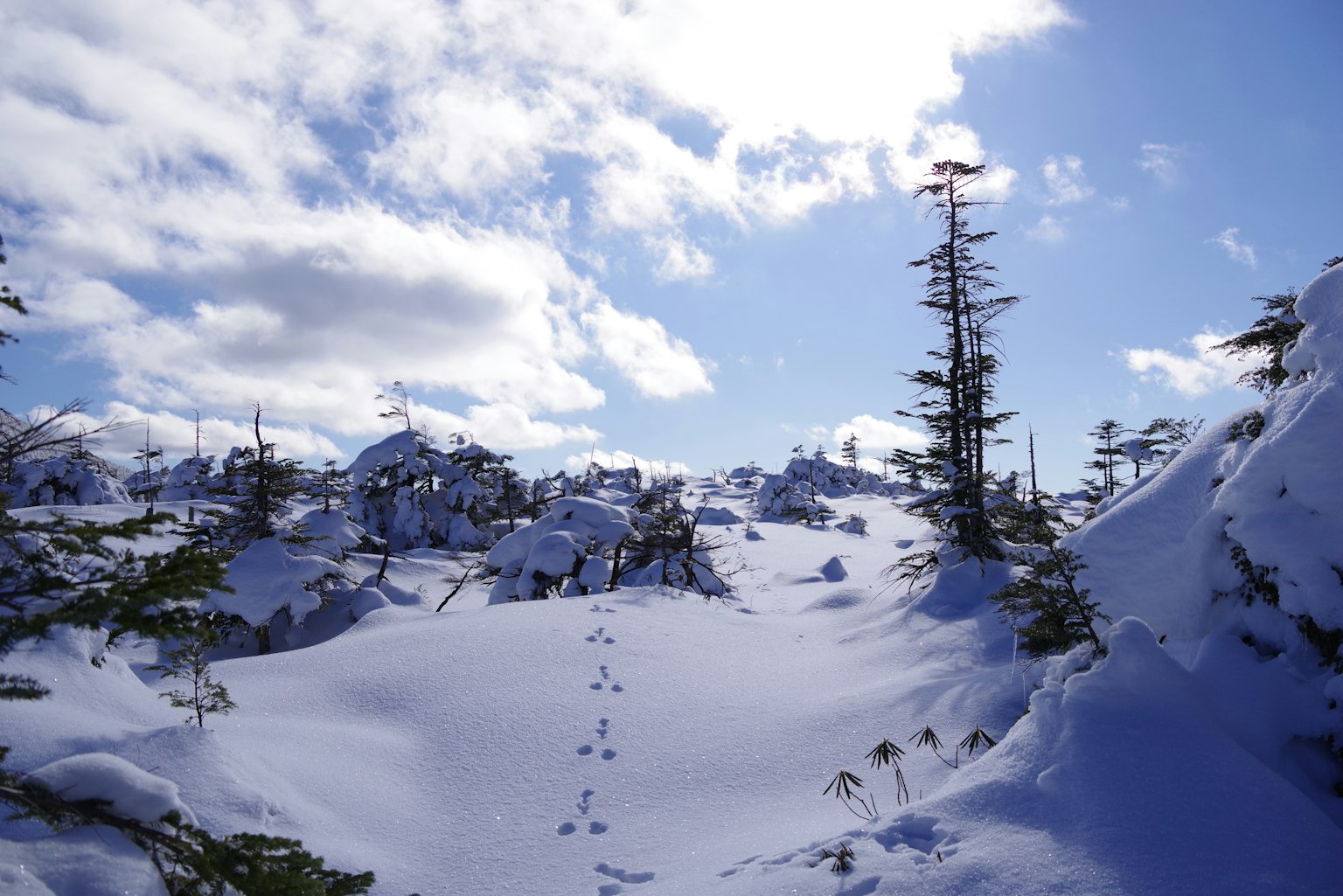 Paesaggio innevato con impronte sotto un cielo blu