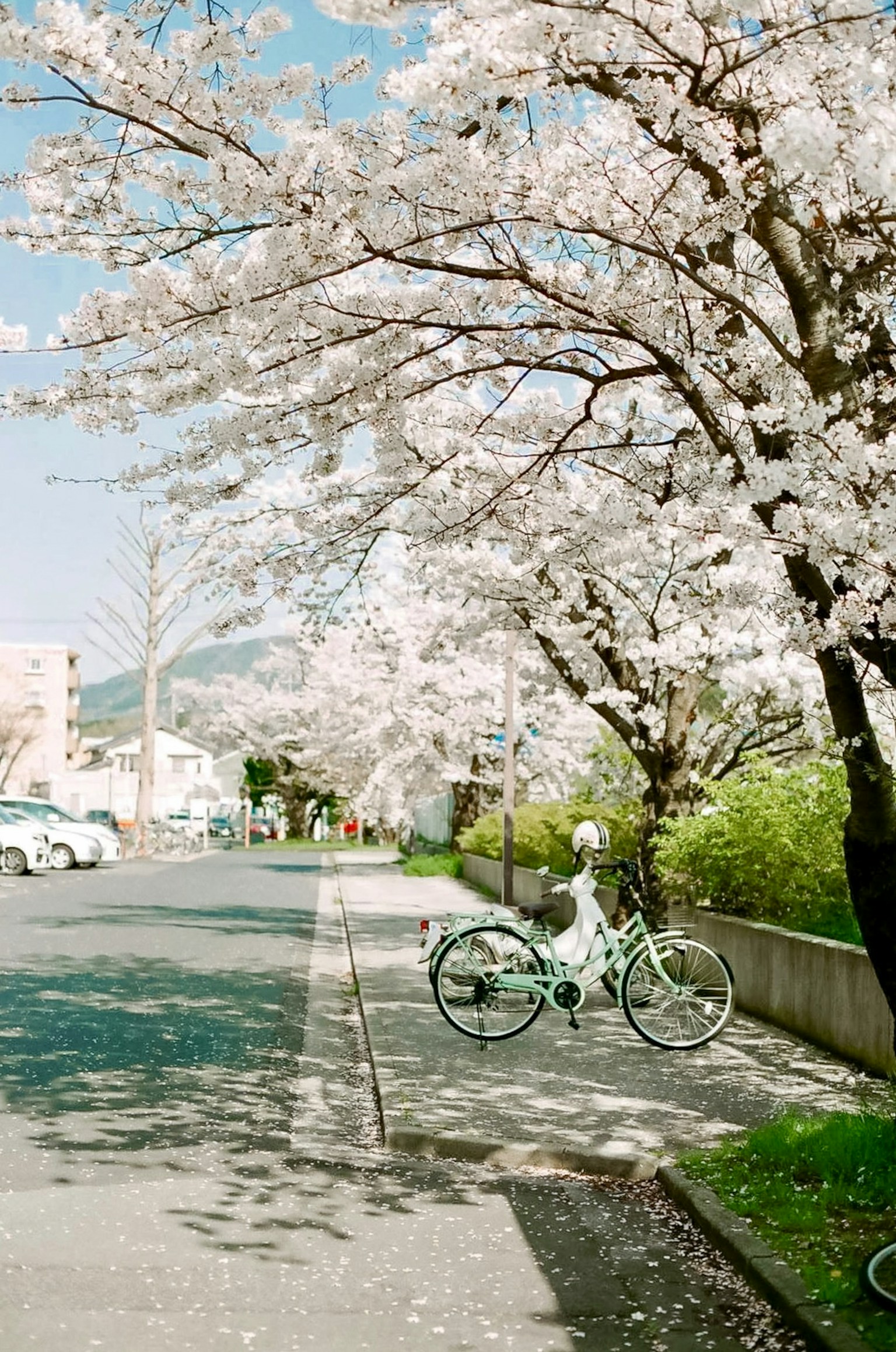 photo-PjBIoQ4z3MOeIIJgKmot-image