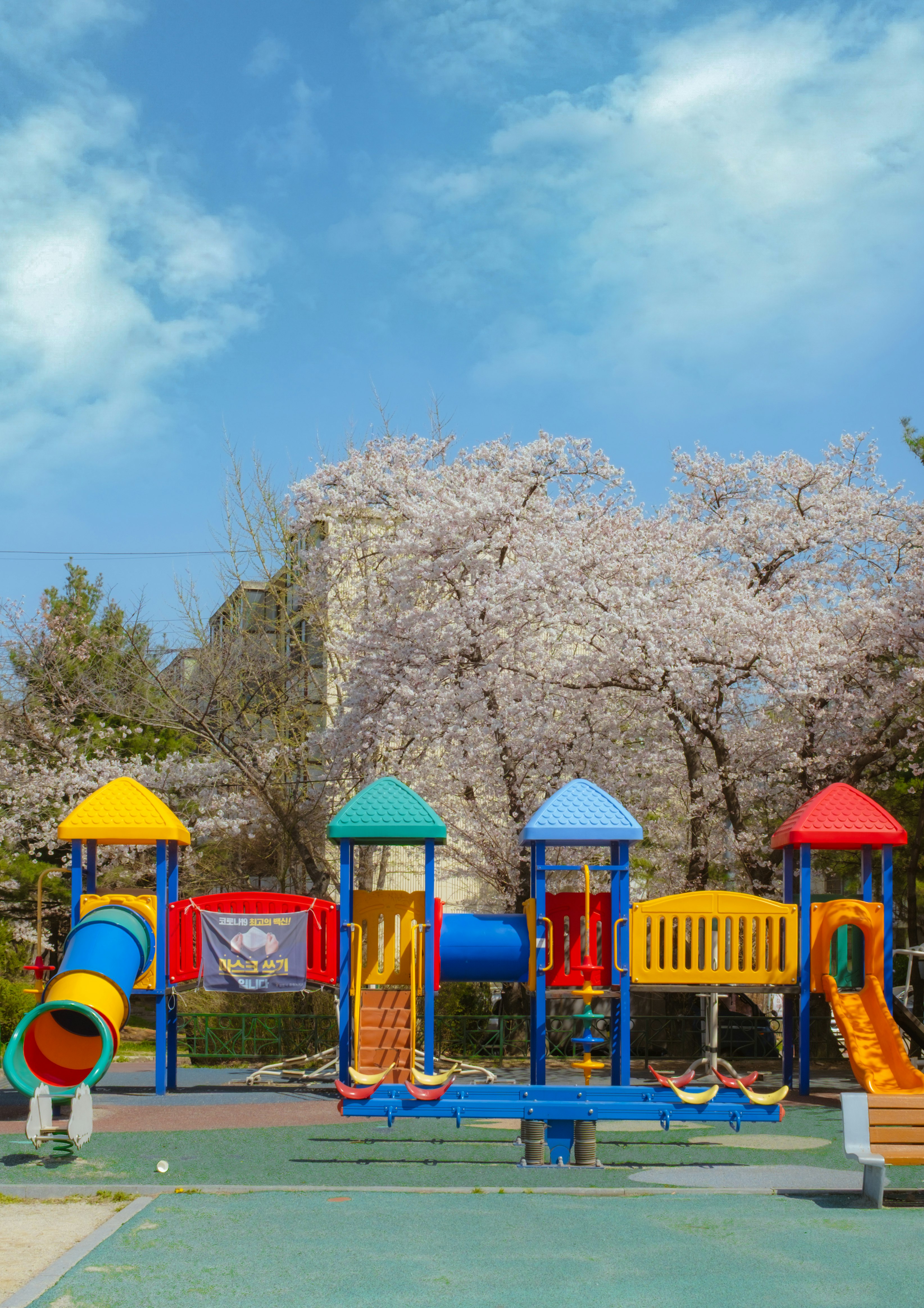 遊具のある公園で満開の桜が空に広がる場所