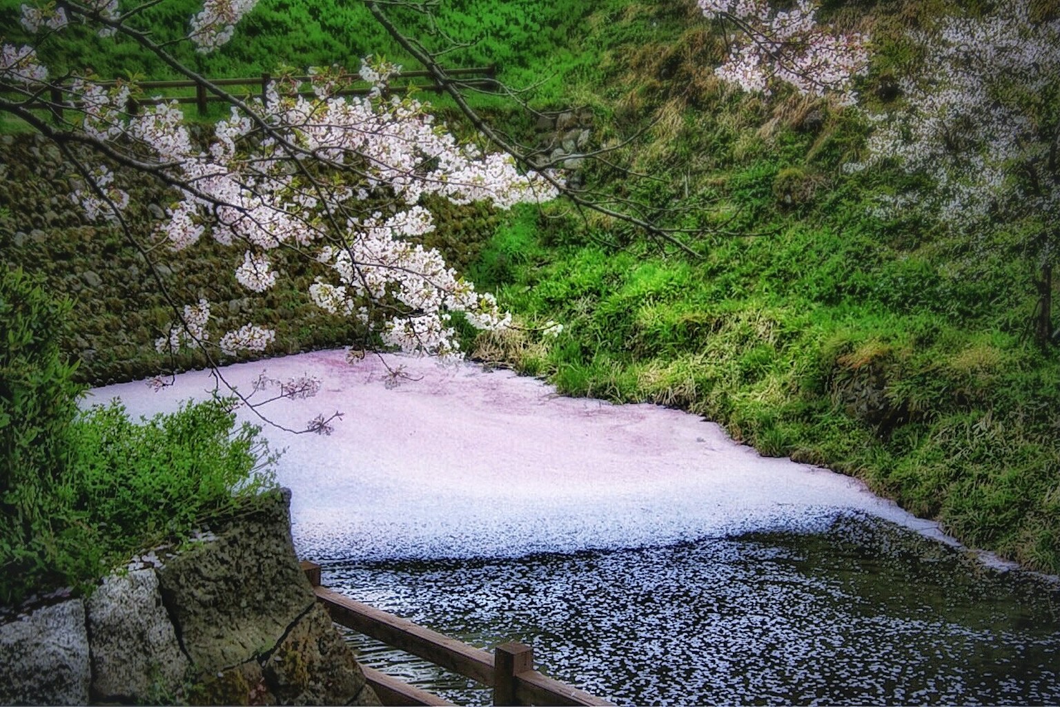 Acqua che scorre con schiuma vicino a fiori di ciliegio e colline verdi