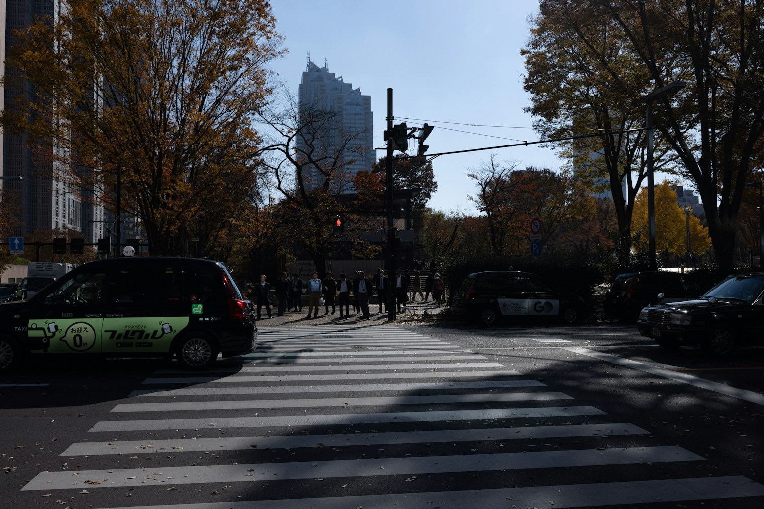 Passage piéton à un carrefour avec des véhicules et des arbres sous un ciel bleu clair