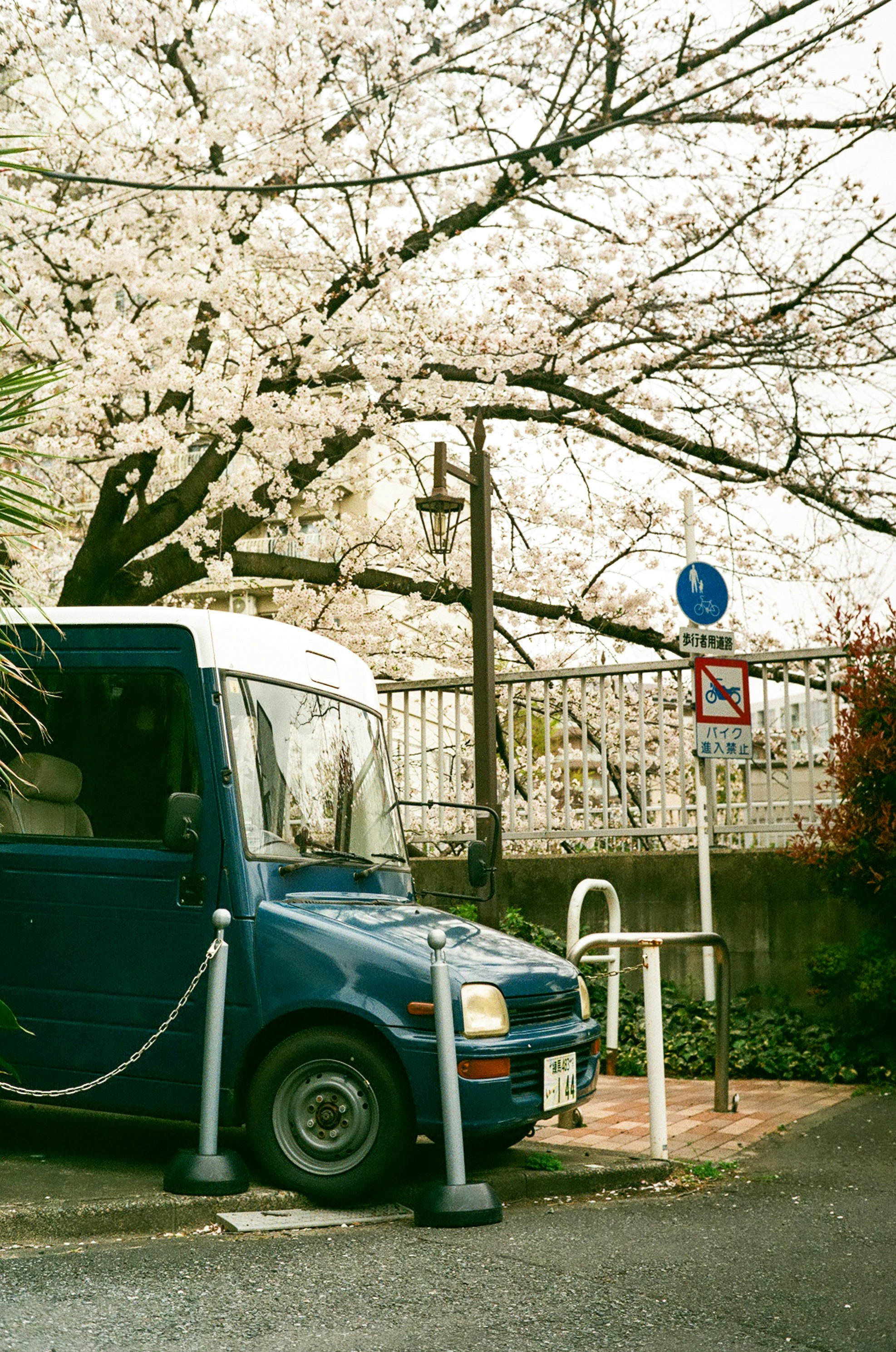 桜の木の下に停まる緑のバンとフェンスのある路地