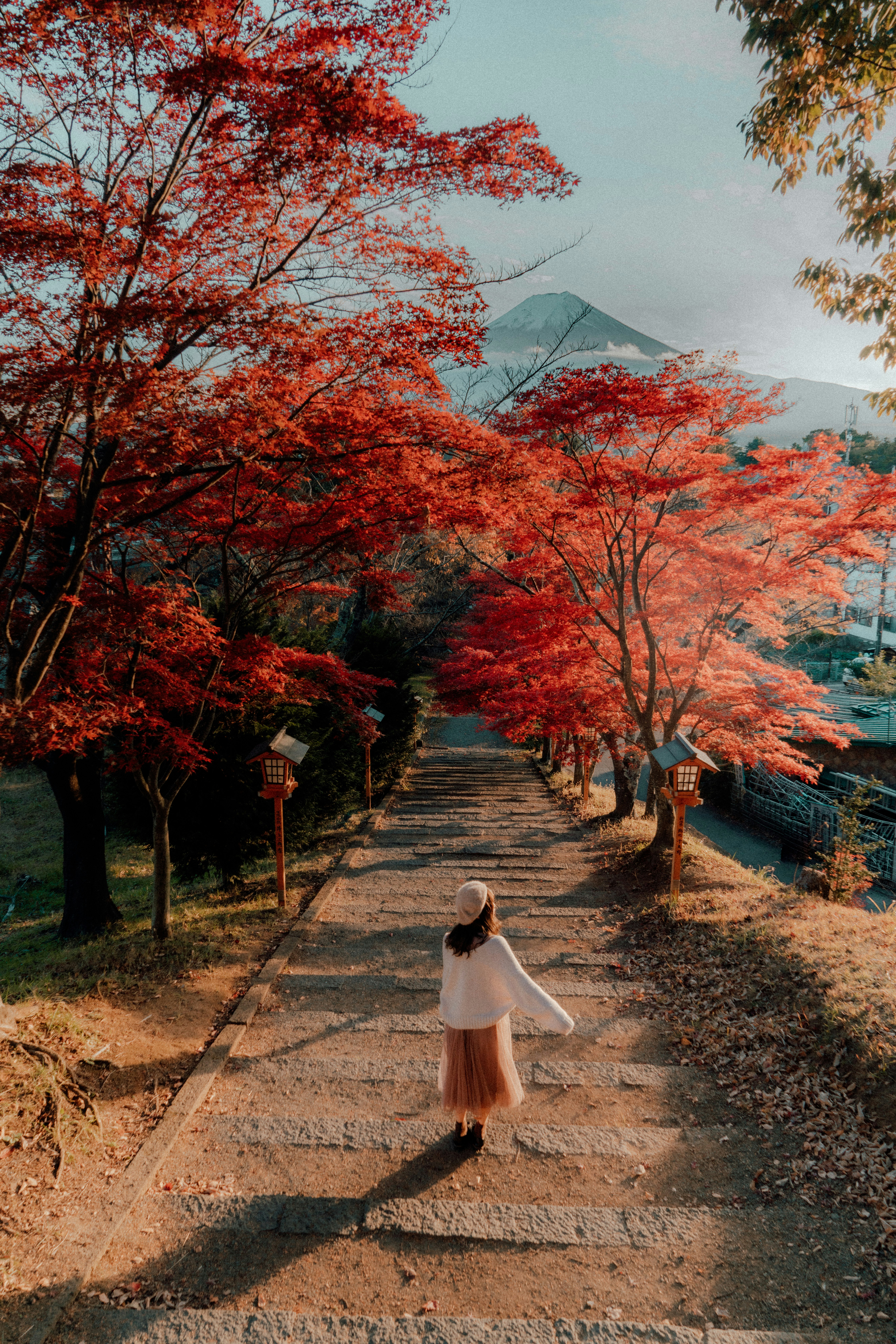 紅葉並木の参道を歩く女性