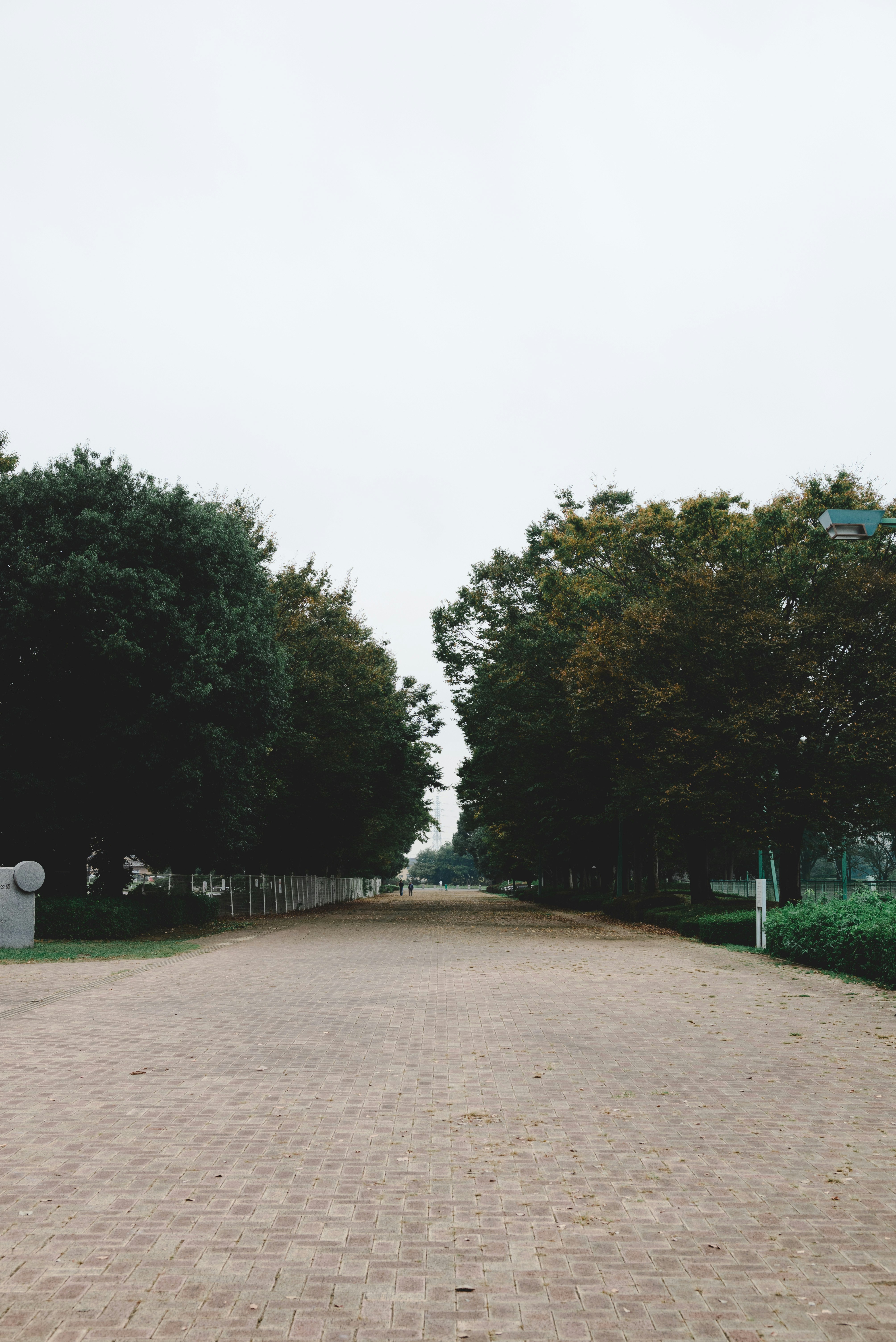 wide brick walkway lined with trees