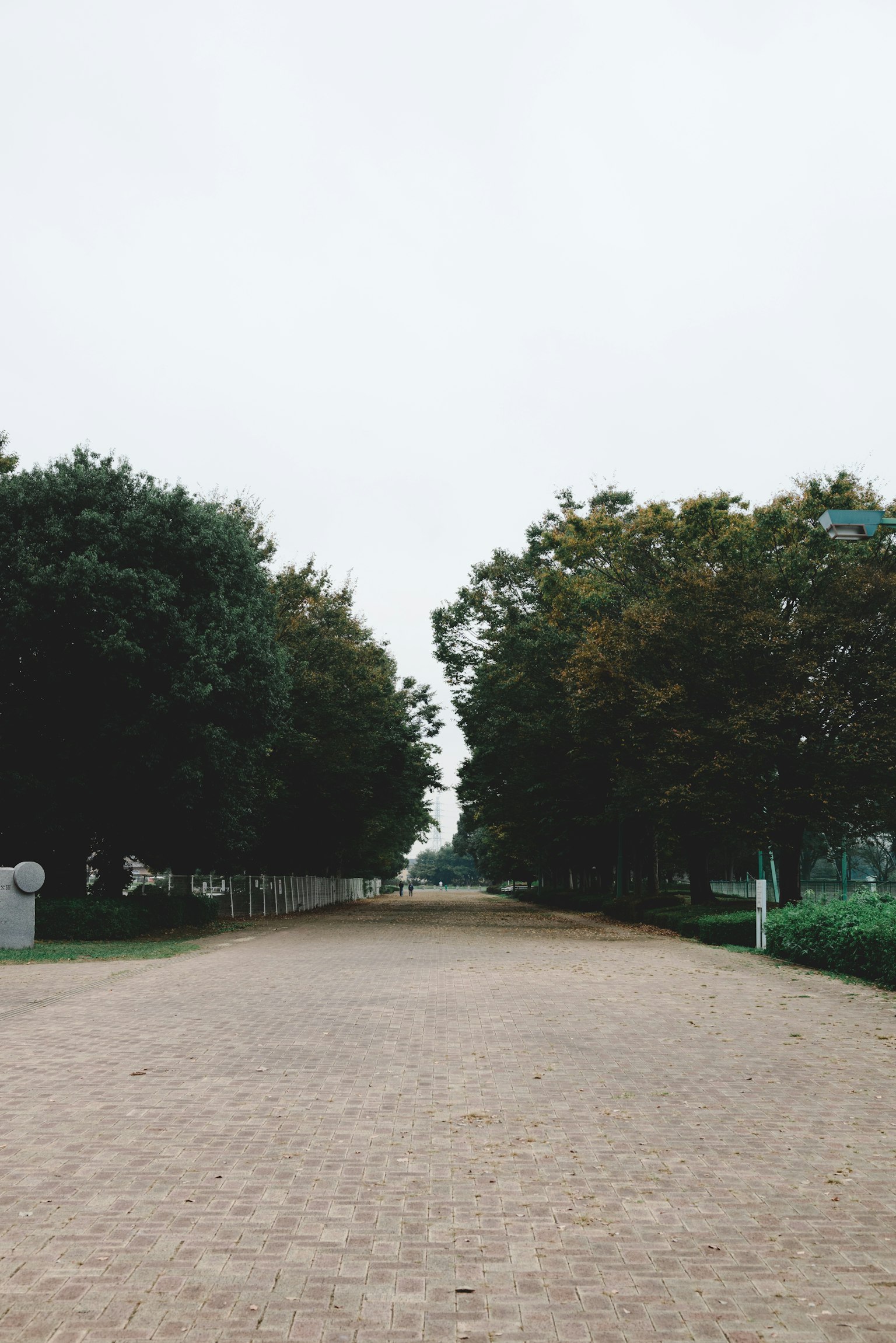 Eine ruhige gepflasterte Straße, gesäumt von grünen Bäumen