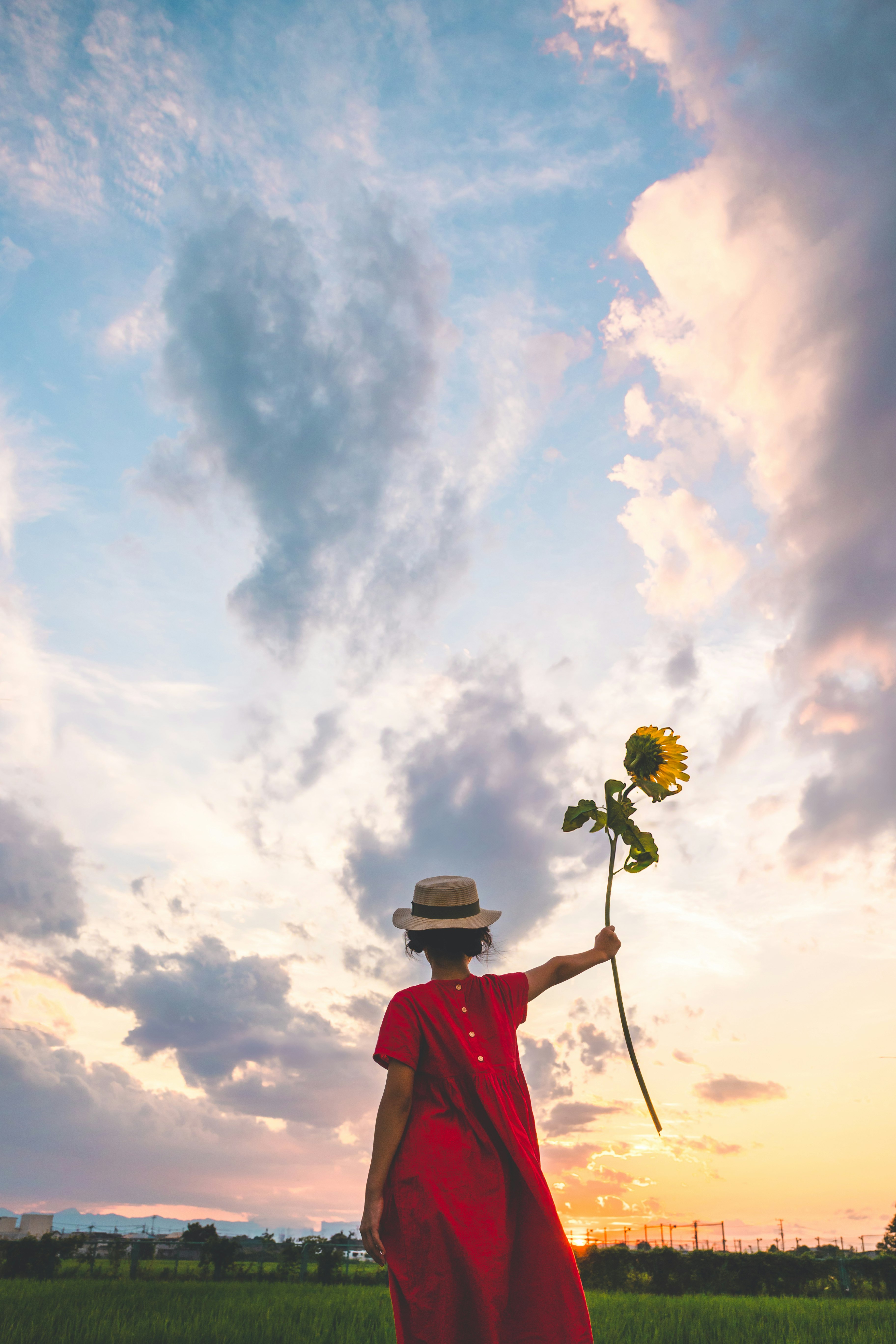 夕暮れの空を背景に赤いドレスの女性と一本の花