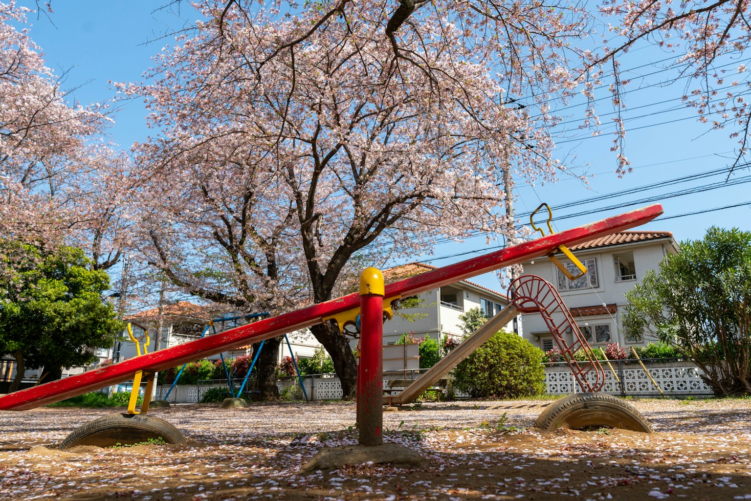 Scena di parco con un'altalena rossa sotto un albero di ciliegio in fiore