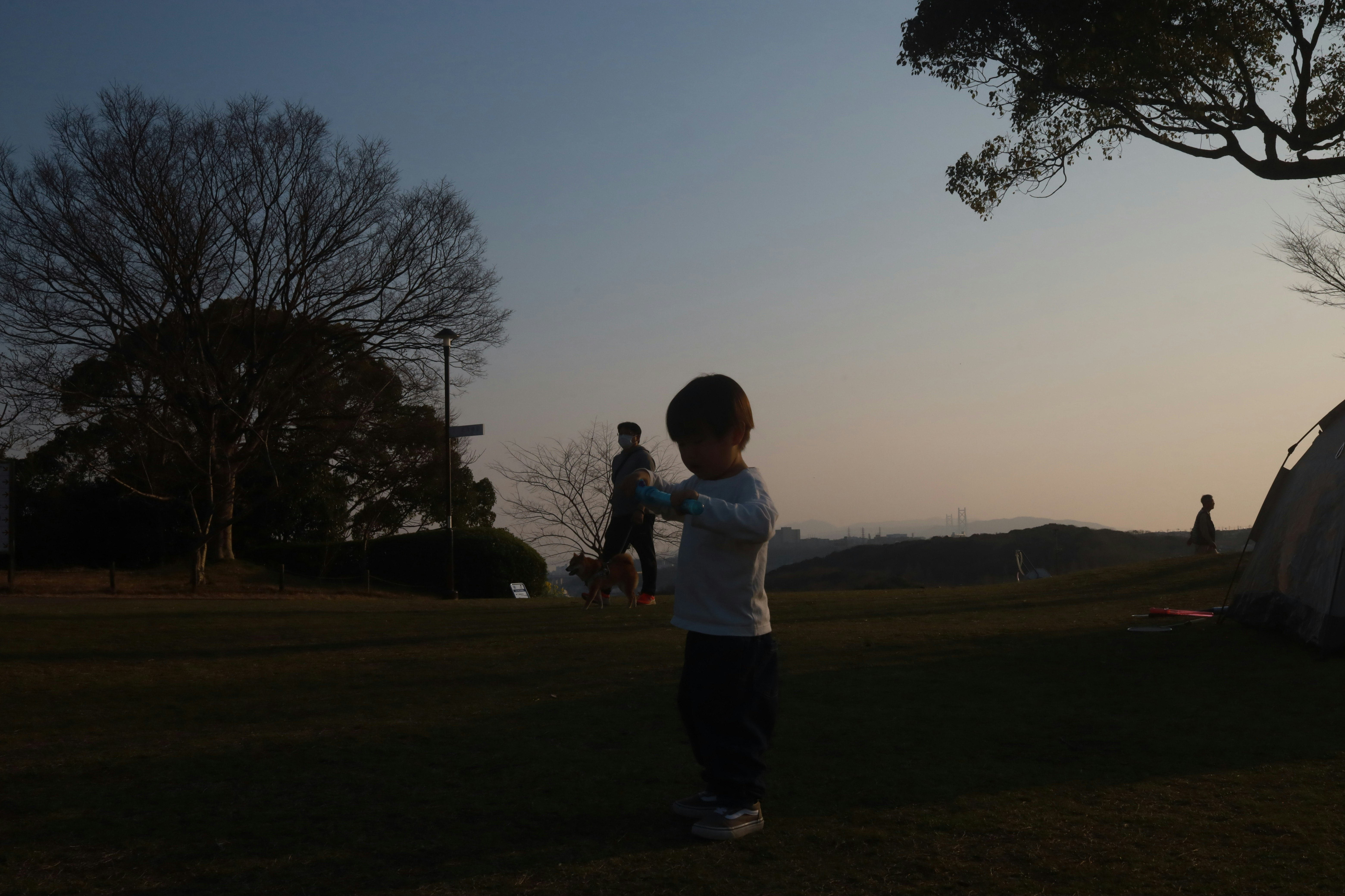 夕暮れの公園で走る親子の後ろ姿