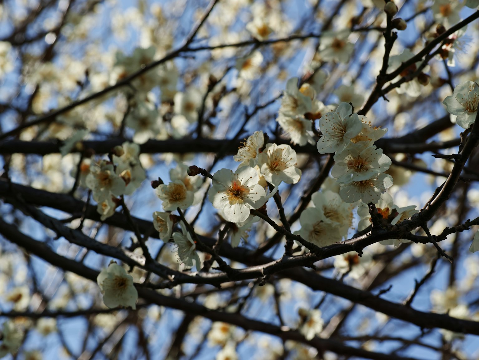 photo-Pl8M56wQ5nw9WXD2YuSM-image