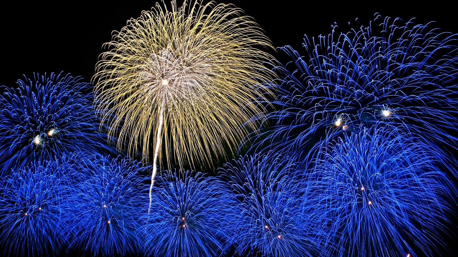 Hermosa escena de fuegos artificiales azules y un fuego artificial dorado en el cielo nocturno