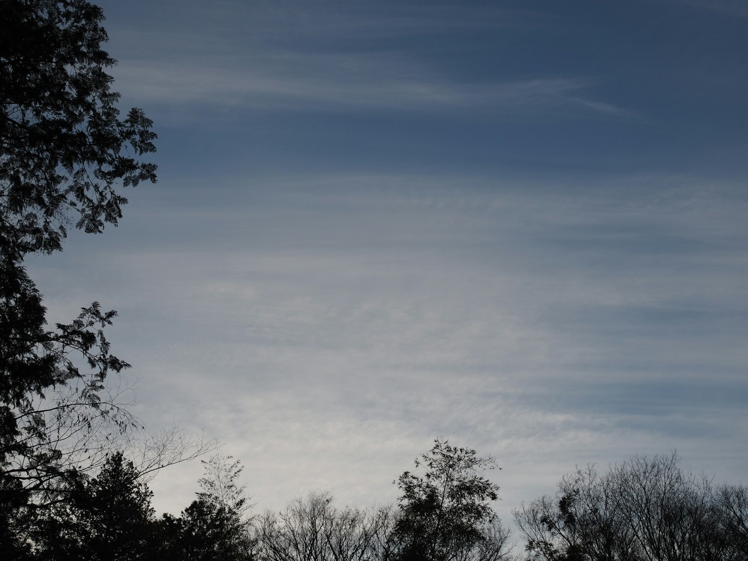 Langit biru dengan awan dan pohon siluet