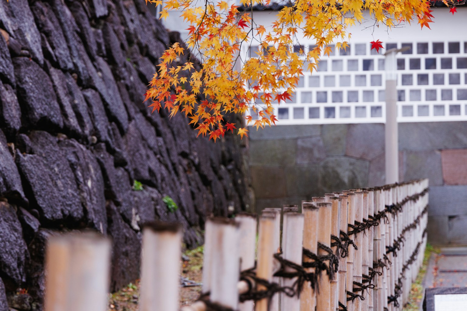 Clôture en bambou avec des feuilles d'automne et un mur en pierre en arrière-plan